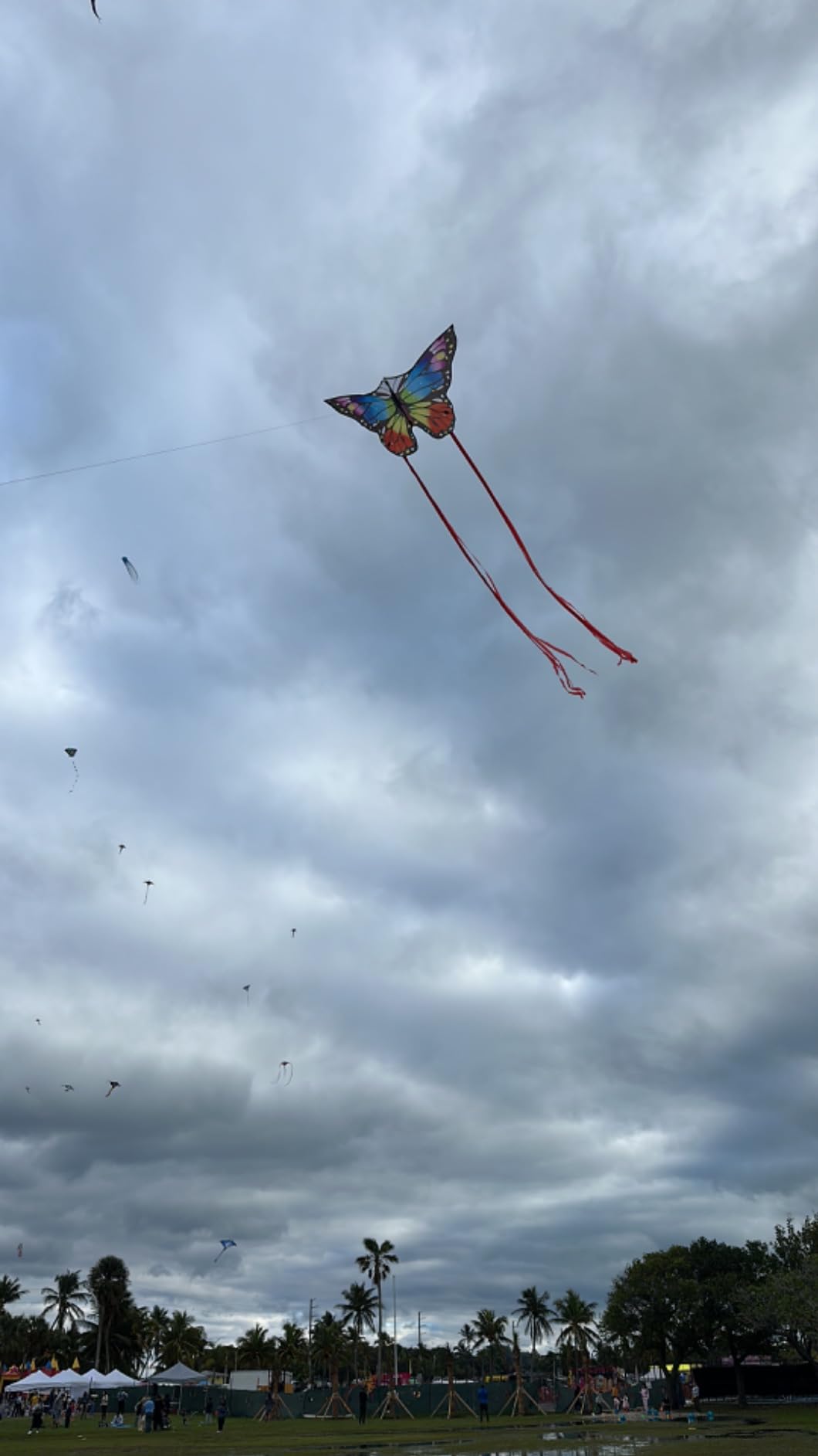 Butterfly Kite for Kids & Adults, Large Single Line Beach Kite Easy to Fly customer photo 1