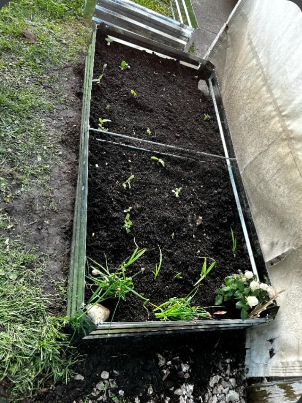 2-Pack Galvanized Raised Garden Bed 8x4x1ft customer photo 2