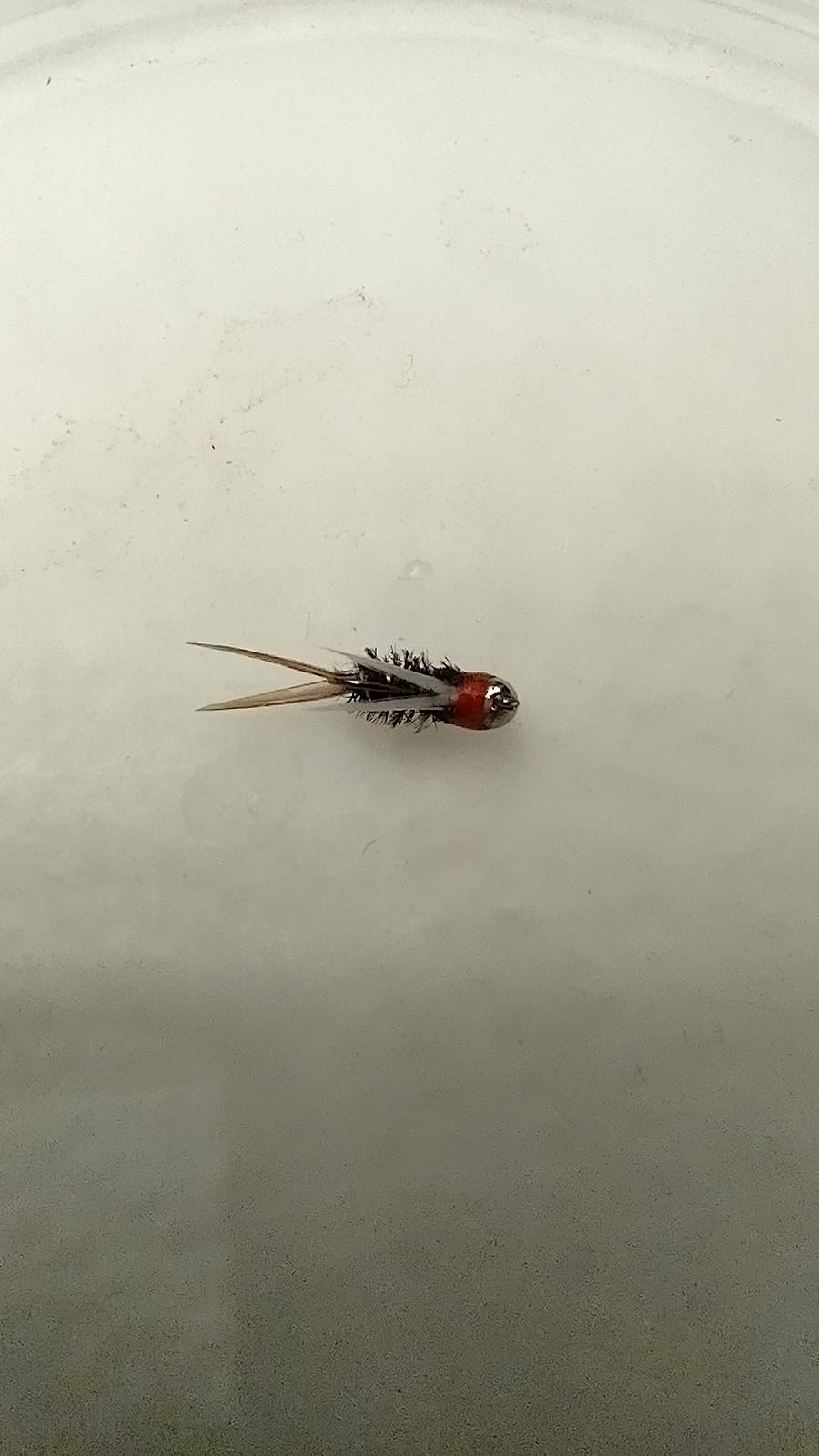 200pcs/lot Fly Tying Tungsten Beads, Slotted Tungsten Nymph Head Ball for Fly Tying Materials 1.5/2/2.3/2.5/2.8/3/3.3/3.5/3.8/4/4.6/5.5/6.4mm All The Sizes You Need, Combination 4 Colors customer photo 1