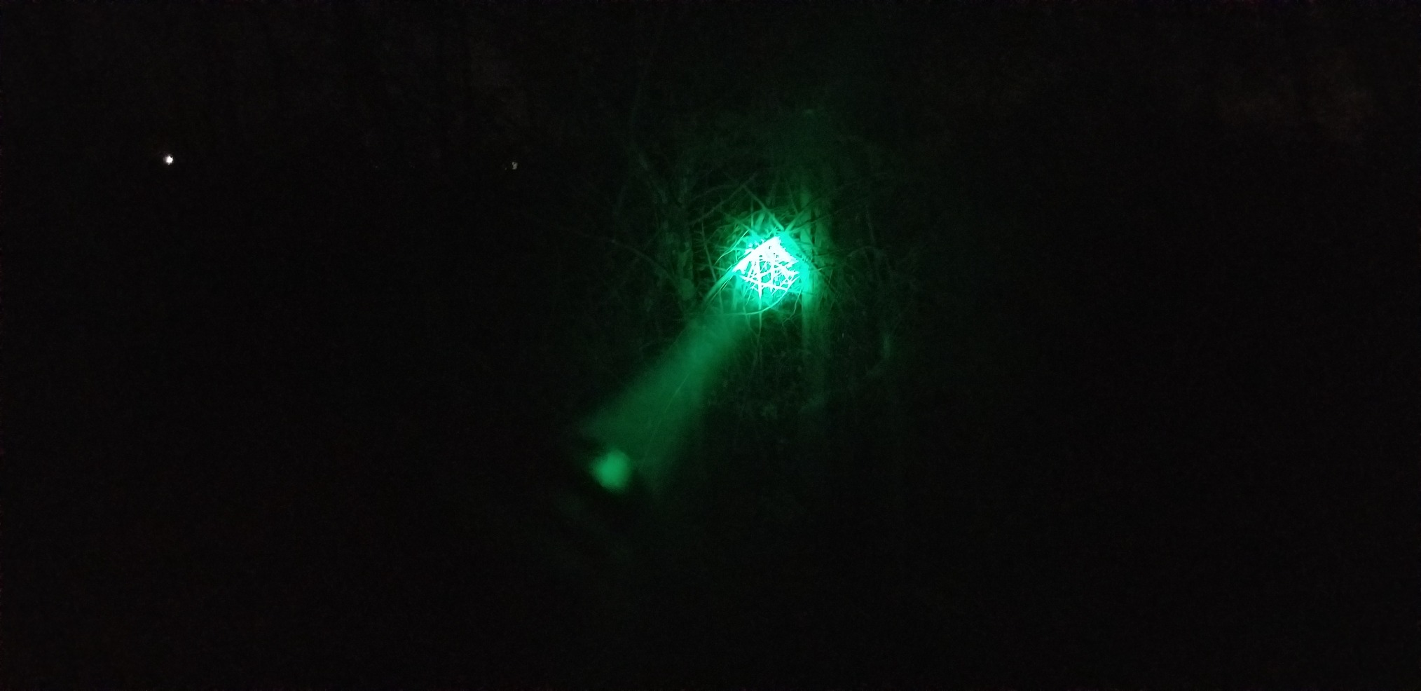 VASTFIRE USB-C Rechargeable Green Flashlight Zoomable 1000 Yard Pressure Switch Scope Rail Mount Hogs Predators Night Hunting (30) customer photo 1