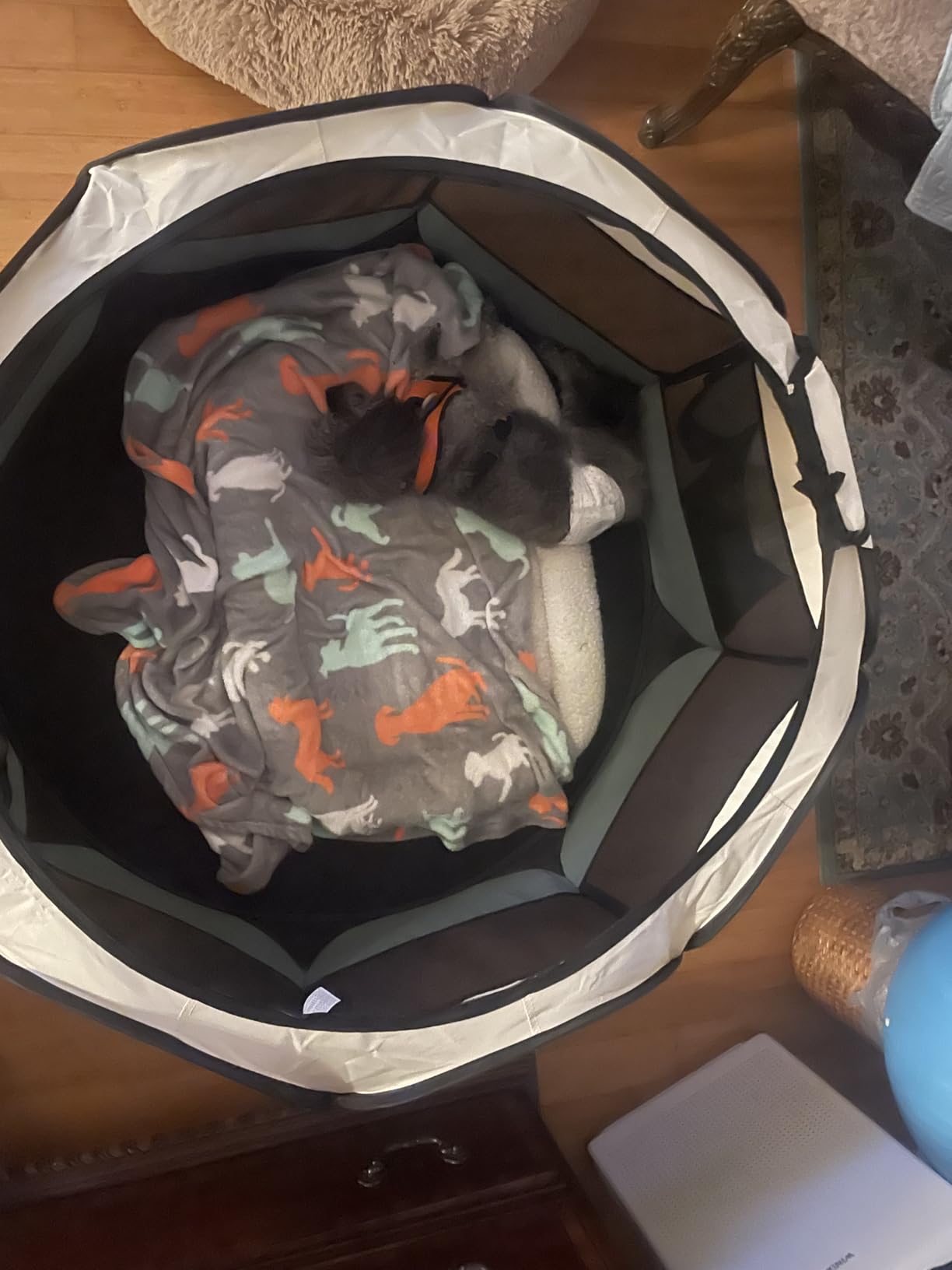 Love's cabin Pet Puppy Dog Playpen, Medium Dog Tent Crates Cage Indoor/Outdoor, Portable Playpen for Cat, Foldable Pop Up Dog Kennel Playpen with Carring Case, Removable Zipper Top, Grey customer photo 1