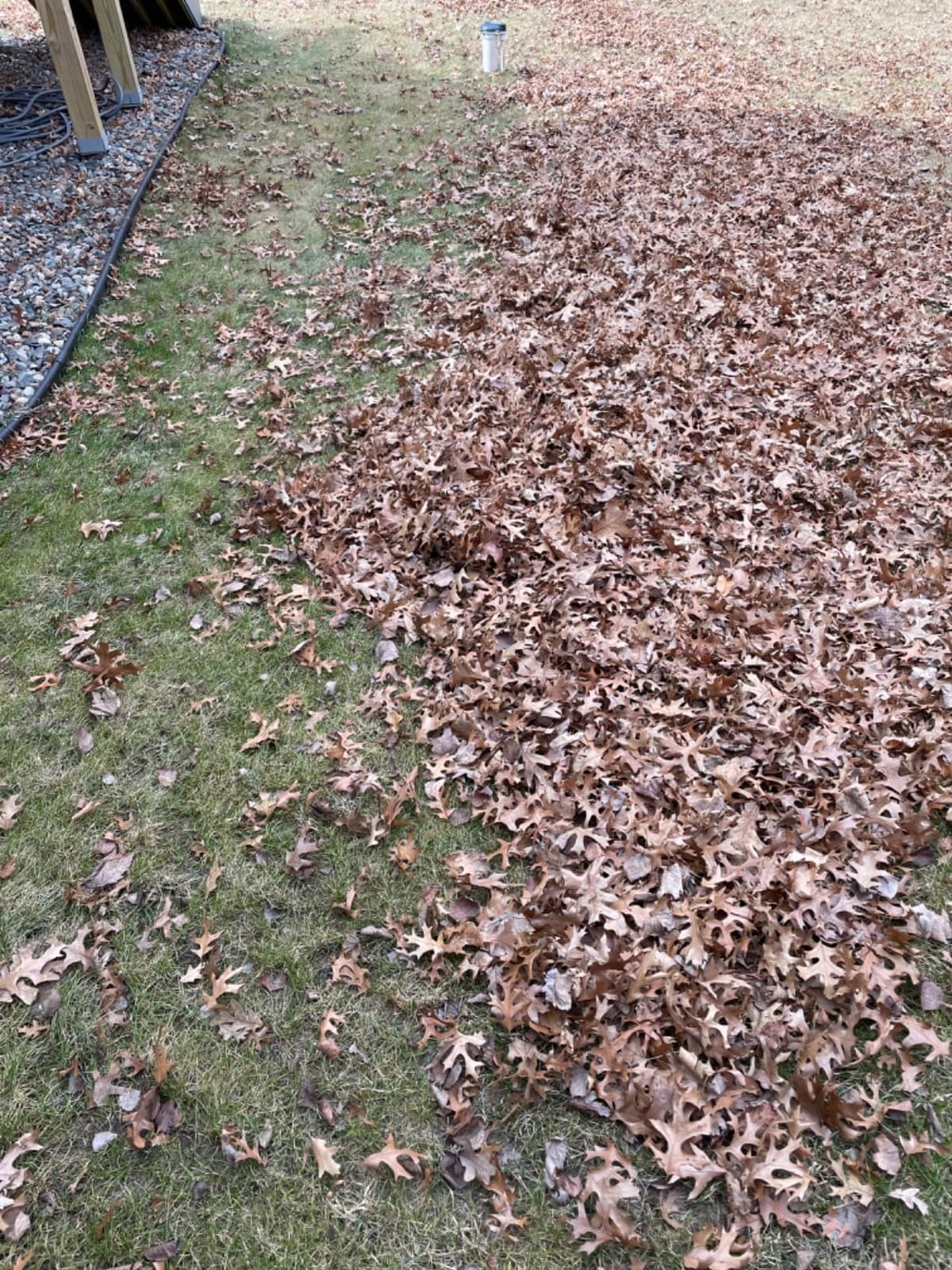 SKIL PWR CORE 40 Brushless 40V 530 CFM Cordless Leaf Blower Kit, Variable Speed with Power Boost, Includes 2.5Ah Battery and Auto PWR Jump Charger- BL4713C-11 customer photo 2