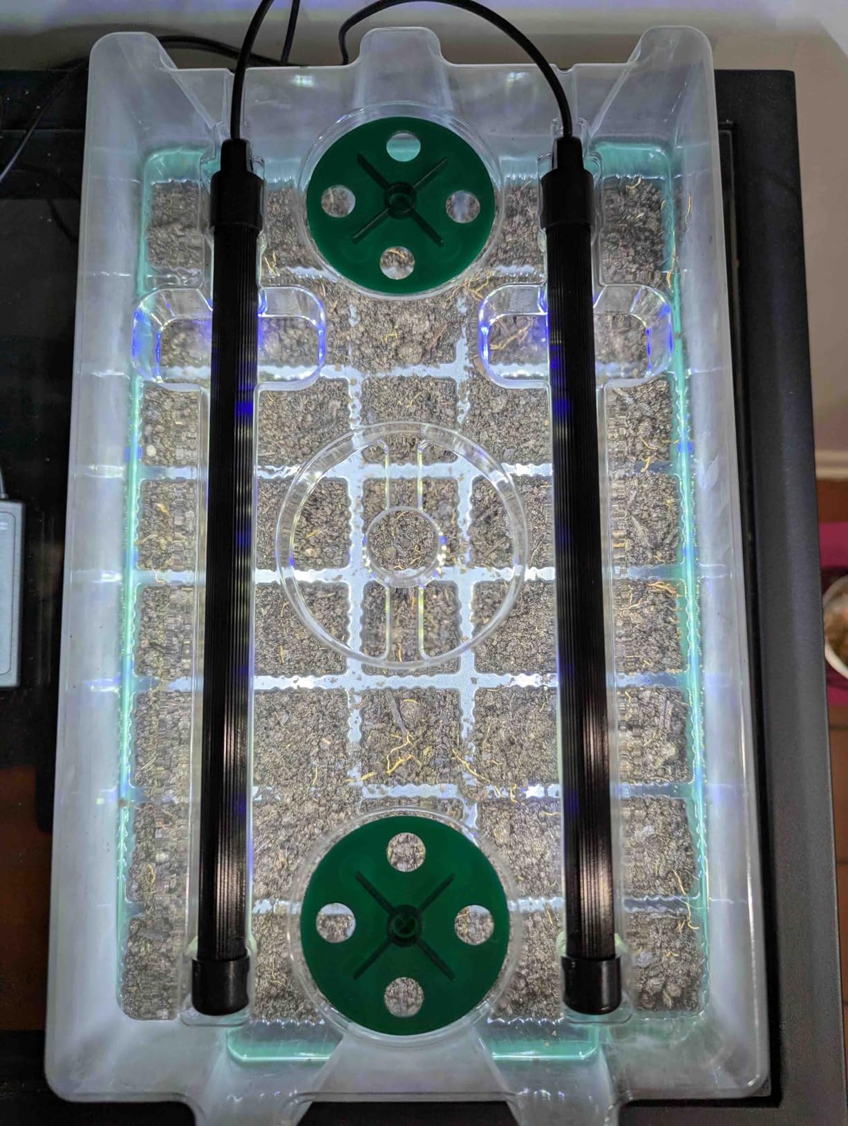 BlumWay Seed Starter Tray with Grow Light, Humidity Dome, 2 Pack 80 Cells customer photo 1