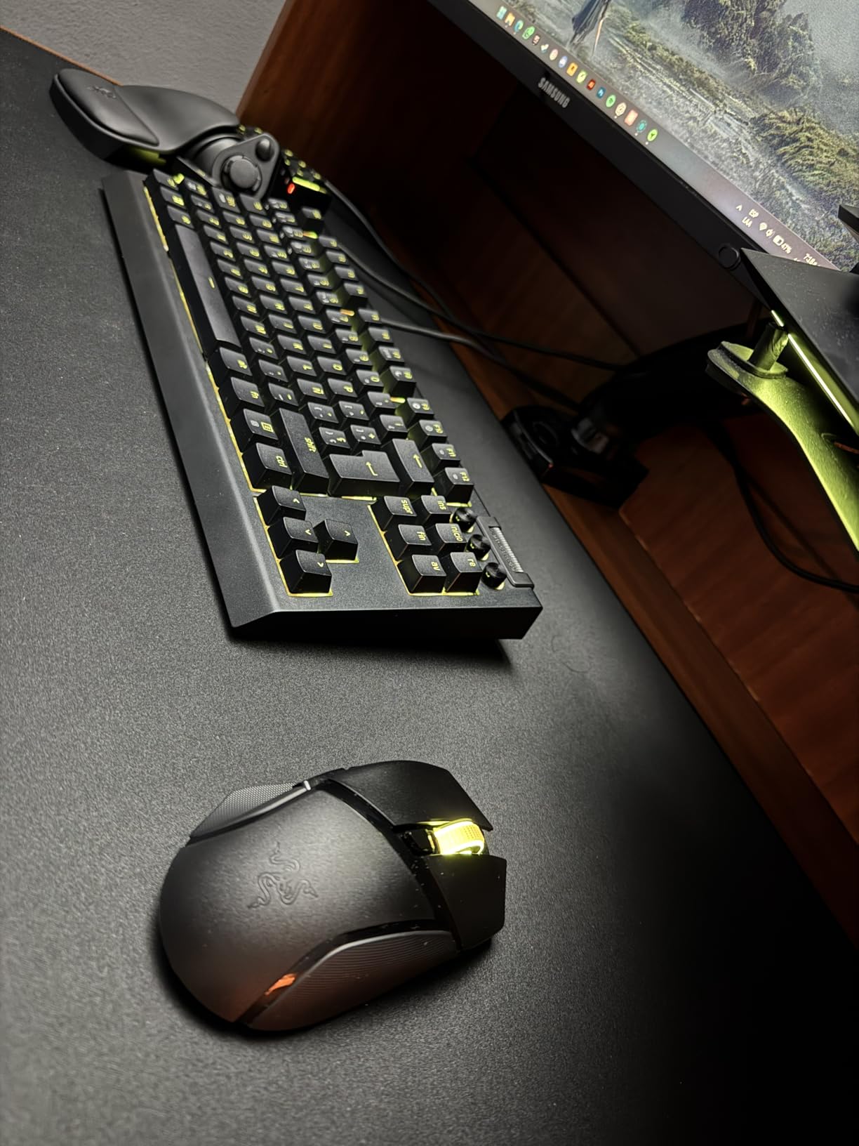 Razer Basilisk V3 X HyperSpeed Customizable Wireless Gaming Mouse, Black customer photo 2