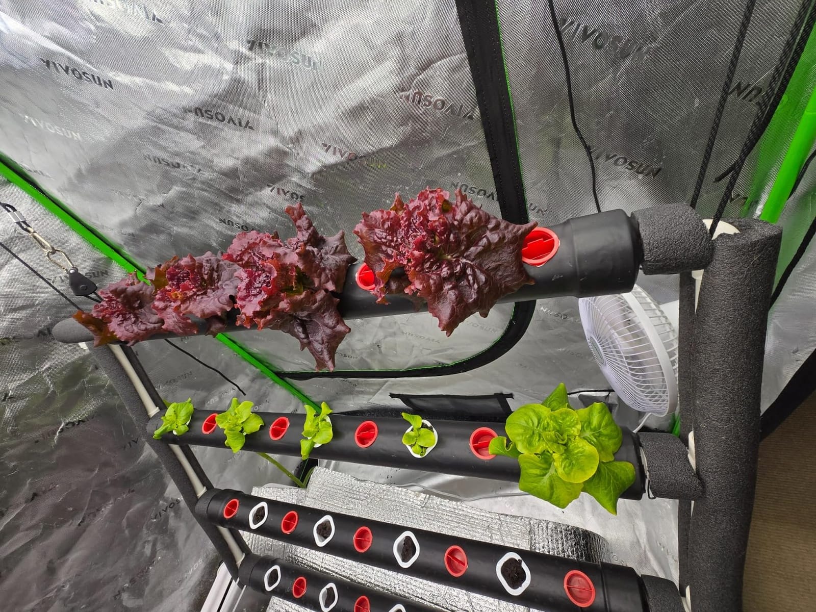 VIVOSUN Hydroponic Grow Kit, 54 Plant Sites 6 Food-Grade PVC-U Pipes Hydroponics Planting System with Water Pump, Pump Timer, Nest Basket and Sponge for Leafy Vegetable customer photo 1