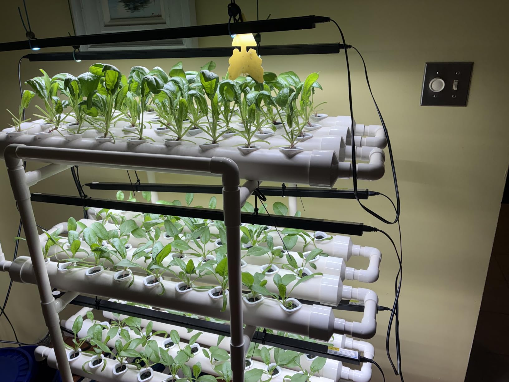 VIVOSUN Hydroponic Grow Kit, 54 Plant Sites 6 Food-Grade PVC-U Pipes Hydroponics Planting System with Water Pump, Pump Timer, Nest Basket and Sponge for Leafy Vegetable customer photo 2