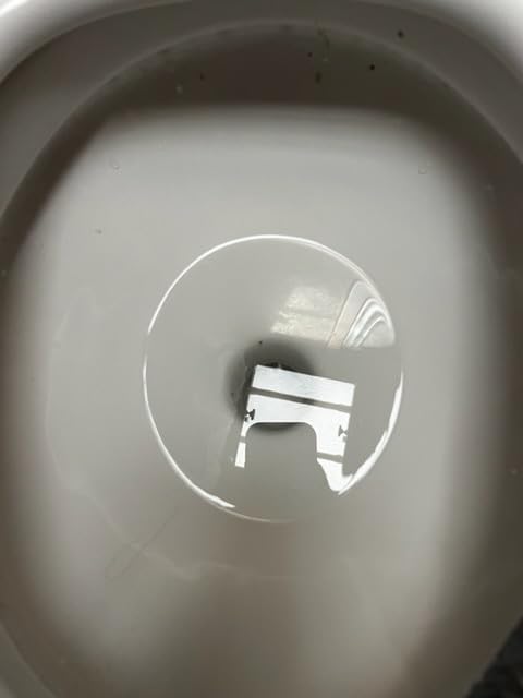SEAFLO 12V Electric Flush Marine Toilet - Large Size Marine Head - Corrosion Resistant Construction - Built-In Backflow Preventer - Stainless Steel Shaft - Permanent Magnet Motor - 4 Year Warranty customer photo 2