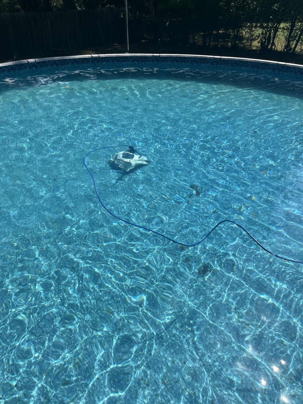 Dolphin Nautilus Pool-Up Robotic Pool Vacuum Cleaner up to 26 FT - Wall Climbing with Scrubber Brush customer photo 1