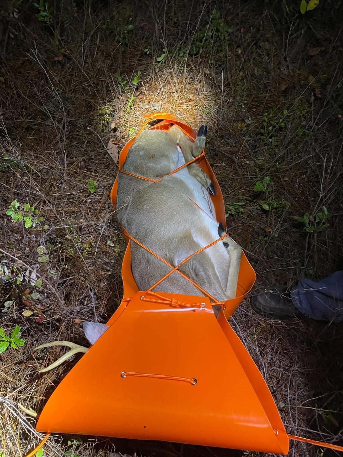 Deer Drag Sled Game Glide - Deer Cart Game Hauler Thickened Tear-Resistant Hunting Accessories and Gear for Hauling Hunter's Trophy - Perfect Hunting Gift for Men customer photo 2