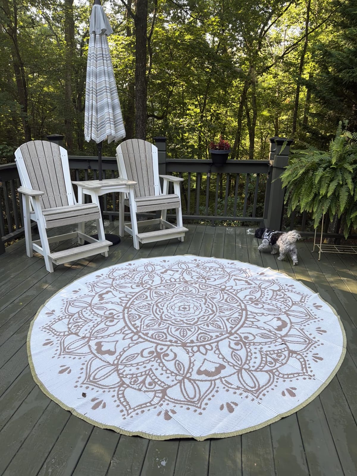 Pauwer Waterproof Outdoor Rug 5x8, Plastic Straw Patio Mat, Leaf Teal | Reversible, Foldable, UV Resistant Camping Rugs, Indoor Outdoor RV Mats Carpet for Deck, Porch, Balcony, Backyard, Picnic customer photo 1