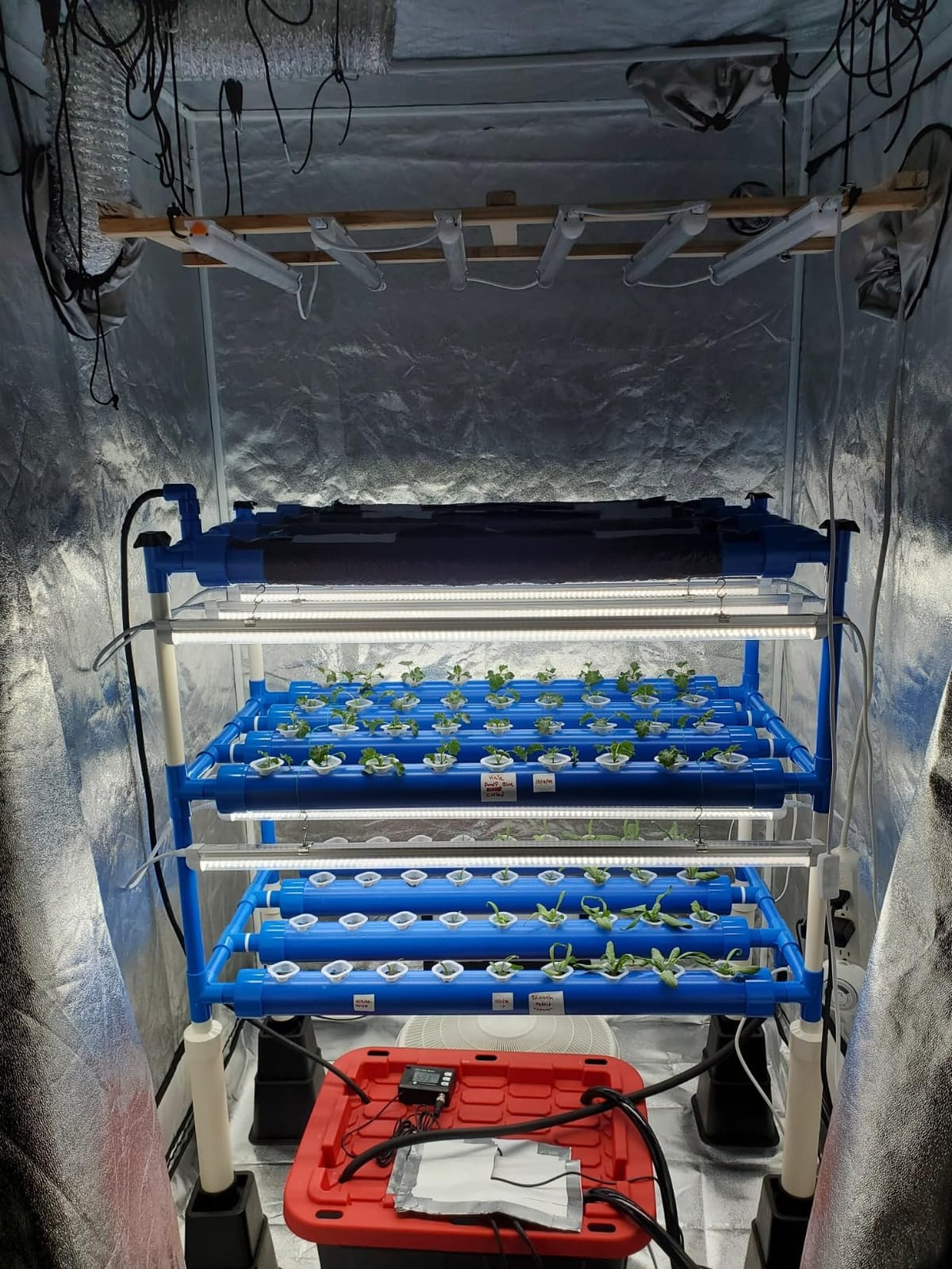 3-Tier 108 Sites Hydroponics Growing System Kit with Light Blocking customer photo 1