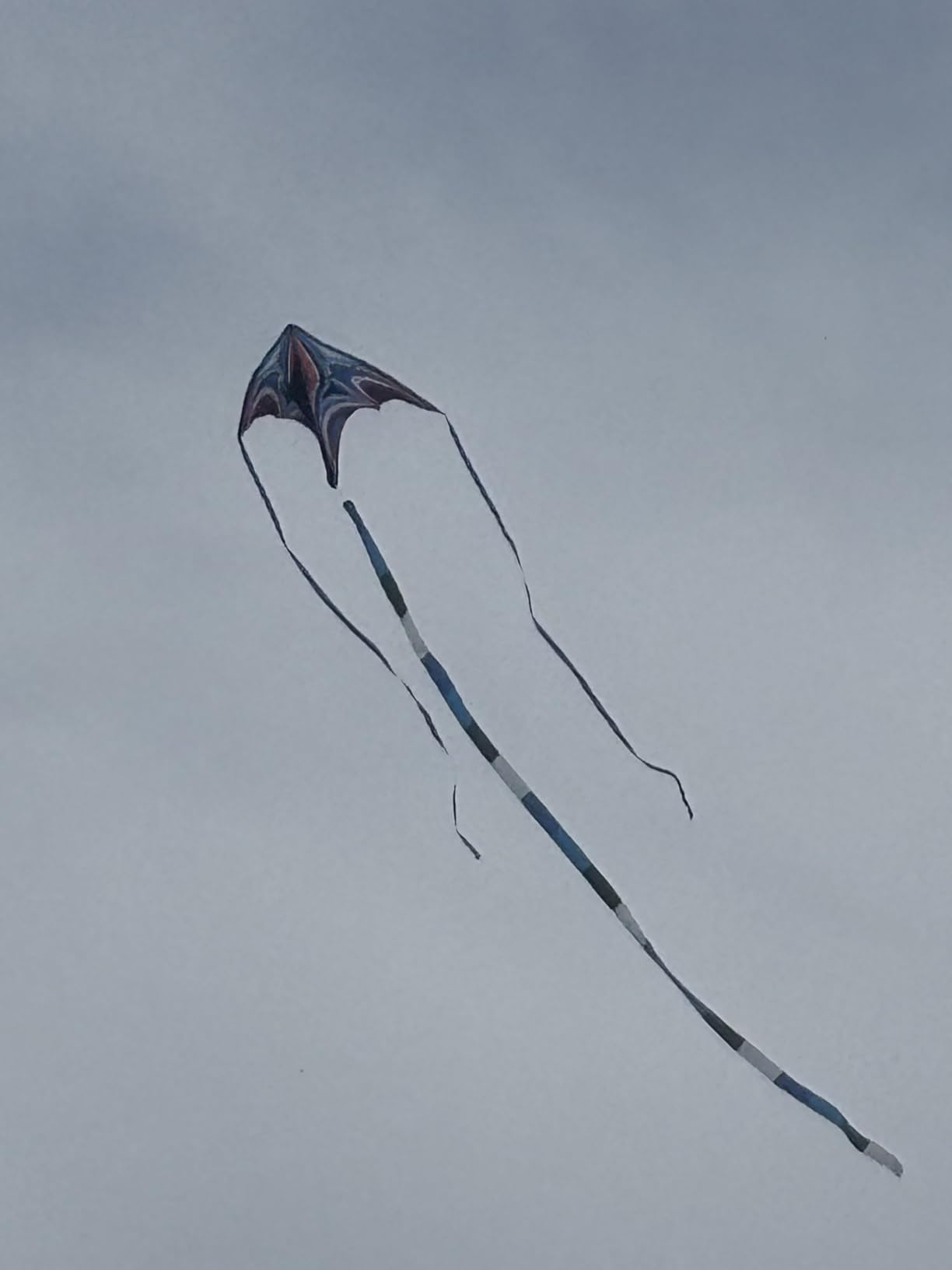 Kite, Large Delta Kites for Kids and Adults, Easy to Fly Rainbow Kites, Durable Multifunctional Beach Kite, Tangle-Free Flight Line, Durable customer photo 1