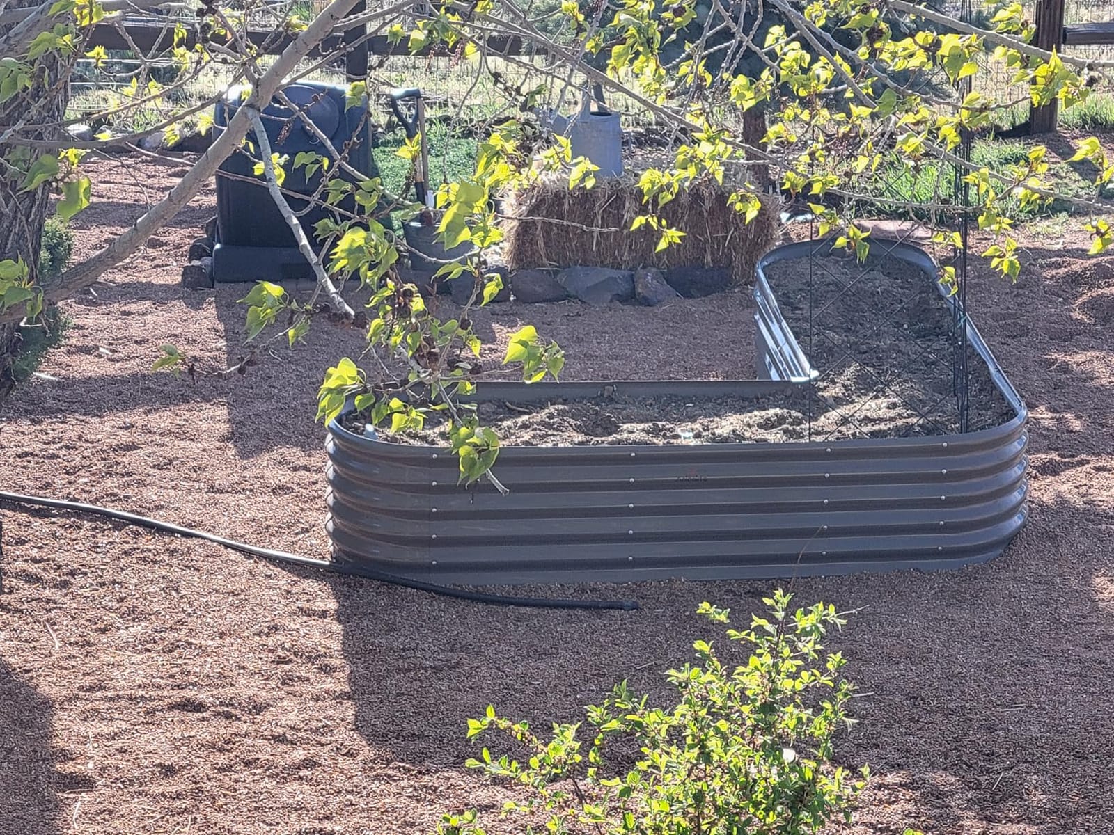 Anleolife 8x4x2ft Oval Deep Root Galvanized Raised Garden Bed, Quartz Grey customer photo 1
