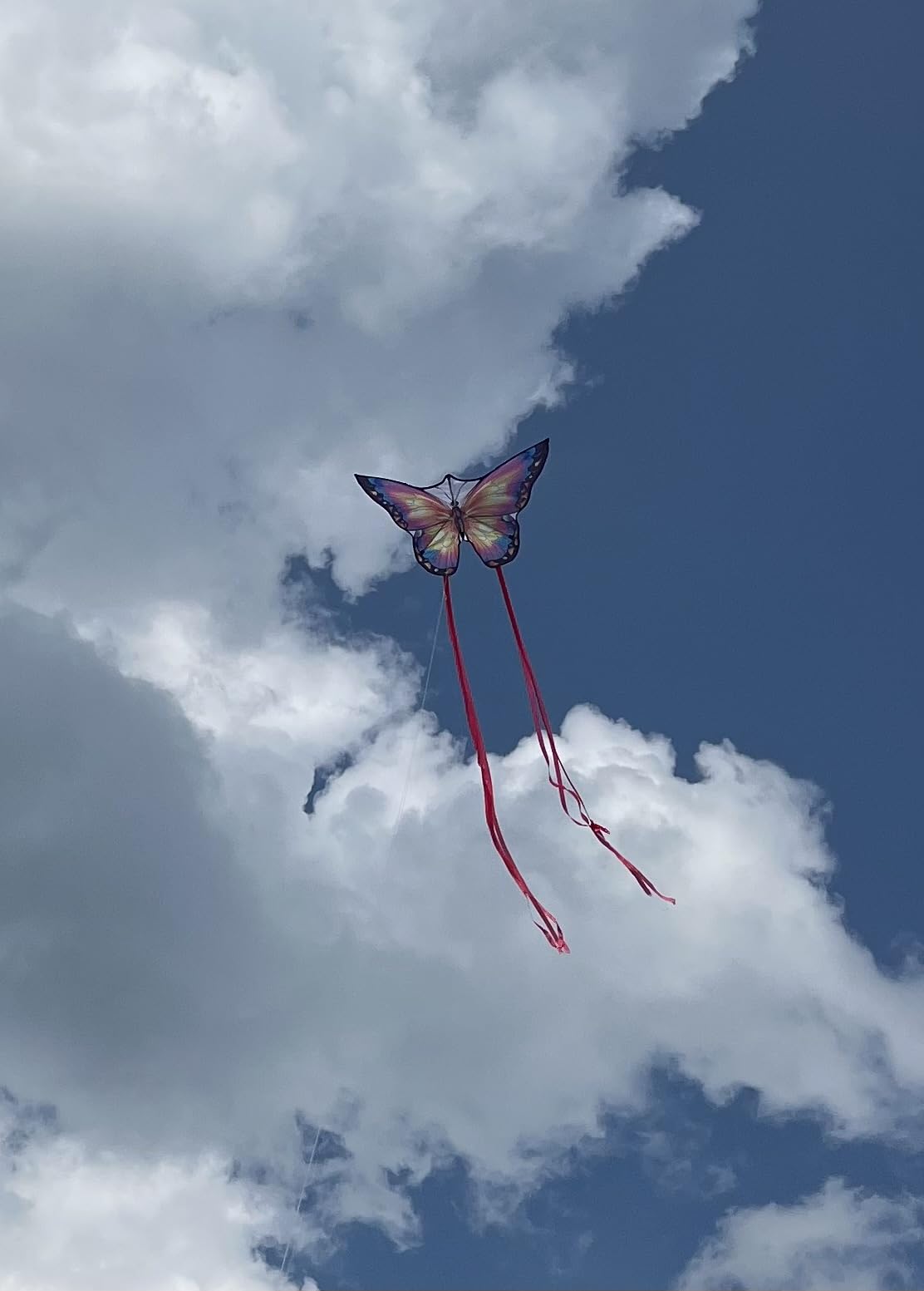 HONBO Butterfly Kites for Kids & Adults, Easy to Fly for Beginners, Each Kite with 300ft Line Handle,Beginner Kite for Kids Ages 4-8,Beach Kites for Outdoor Activities & Family Trip customer photo 1
