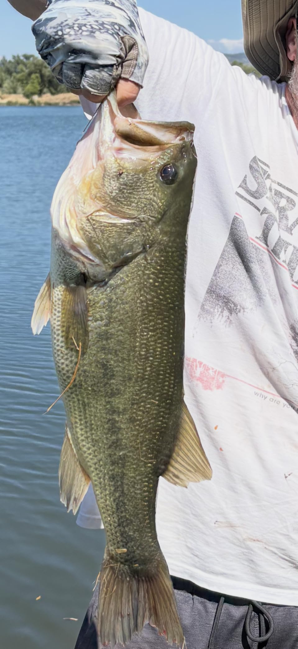 Reaction Tackle Flipping Jigs for Bass Fishing, Weedless Jig Head with Silicone Skirt for Pike, Walleye and Muskie Fishing (3-Pack) customer photo 2