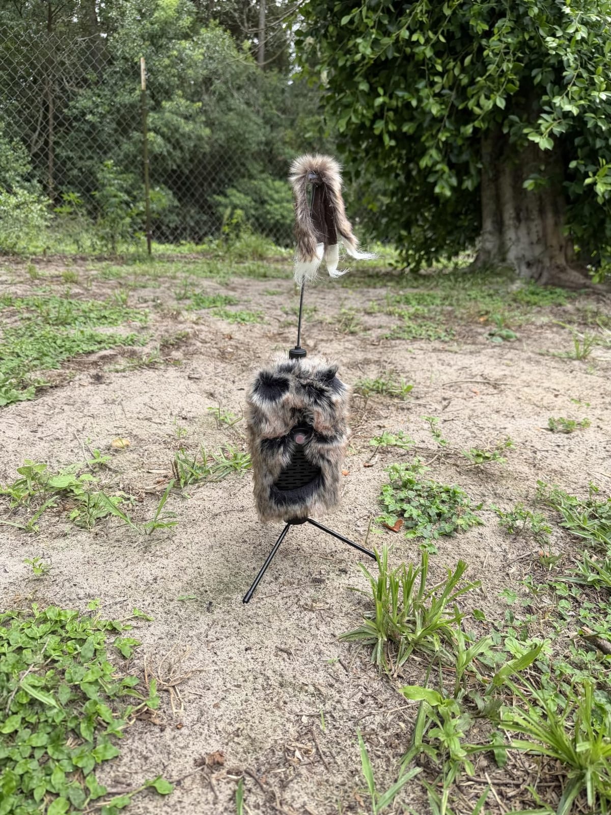 Icotec Furnado Predator Game Caller Decoy Combo - Designed for Coyote, Fox, Bobcat, Raccoon Hunting - 15 Sounds Included, 150 Yard Remote Range customer photo 1