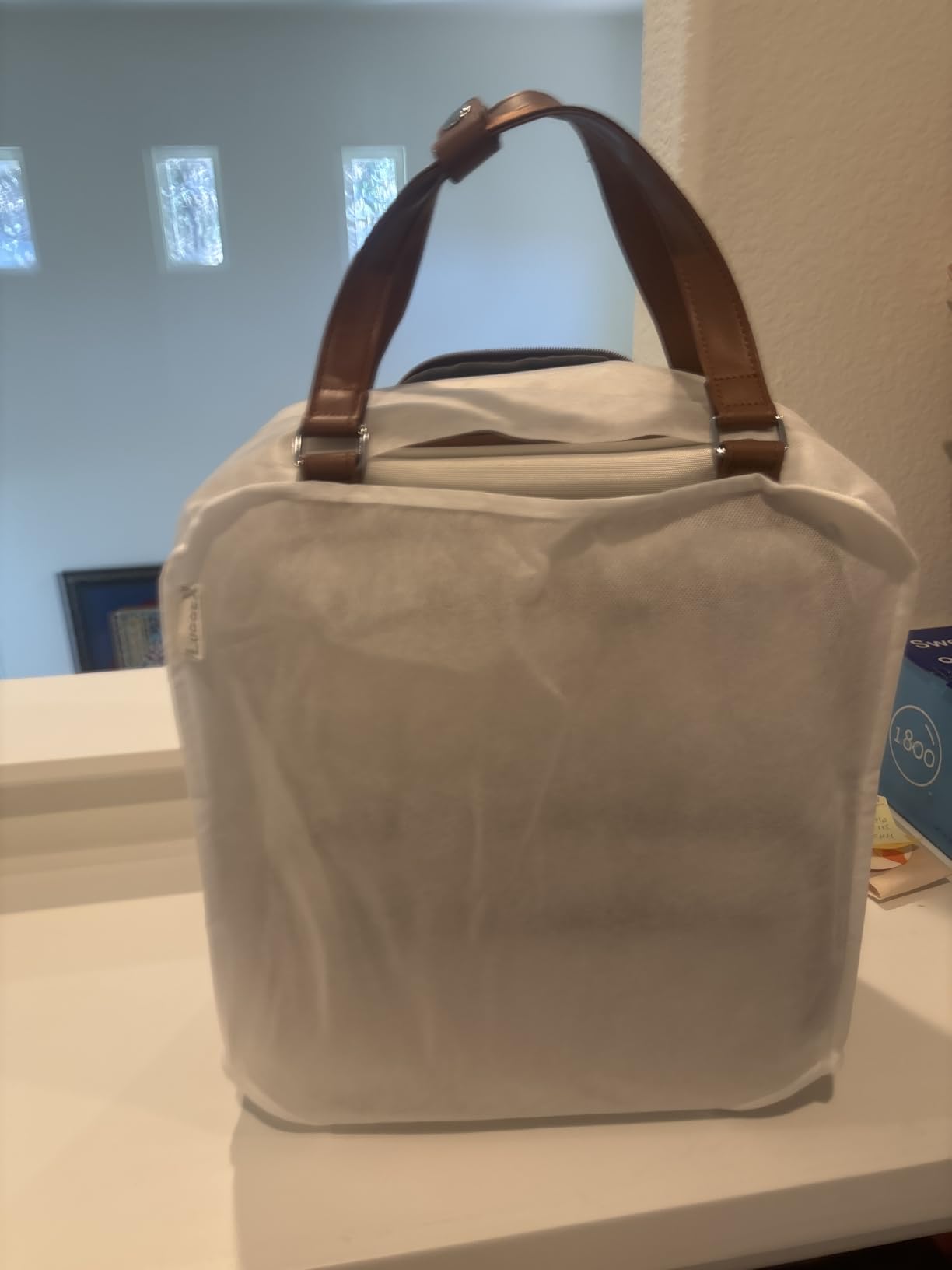 LUGGEX Underseat Carry On Bag, Cream White, 16