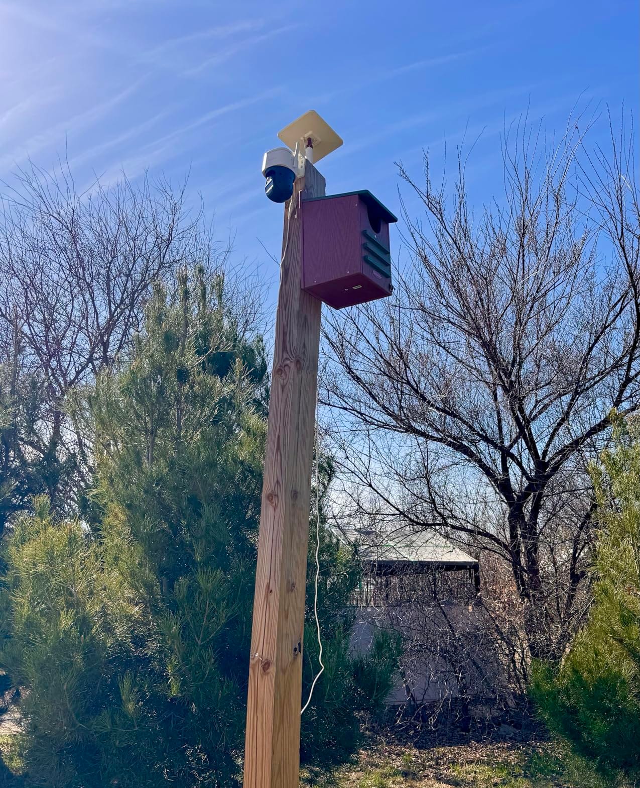 Kingsyard Large Recycled Plastic Wooden Owl House, Waterproof Screech Owl Bird Boxes for Outside, Owl Nesting Box Kit with Screws Ideal for Wildlife, Elf, Pygmy, Garden, Air Ventilation. Green customer photo 1