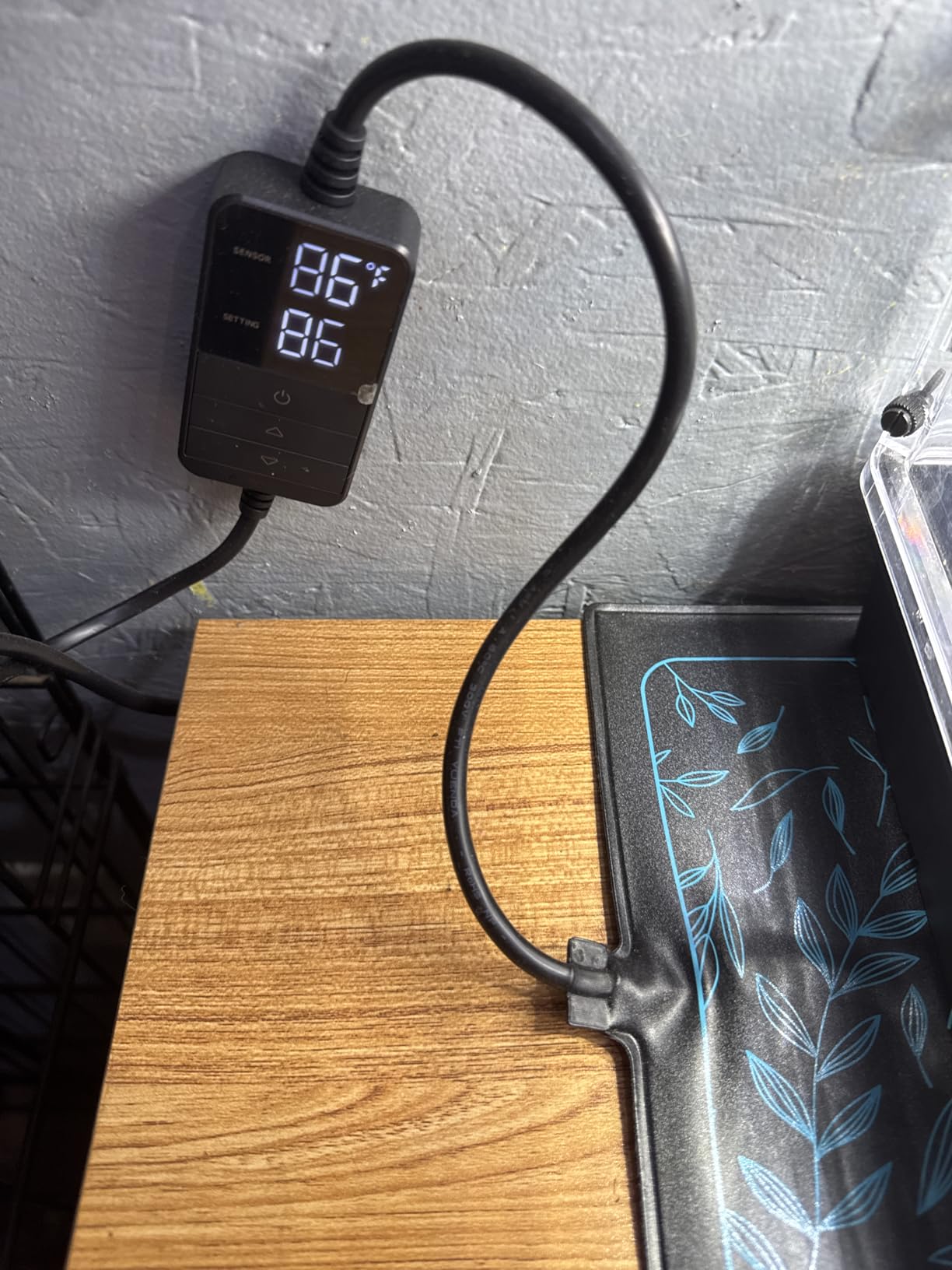 AC Infinity SUNCORE H3, Seedling Mat 10” x 20.75” w/ Smart Heat Controller customer photo 2