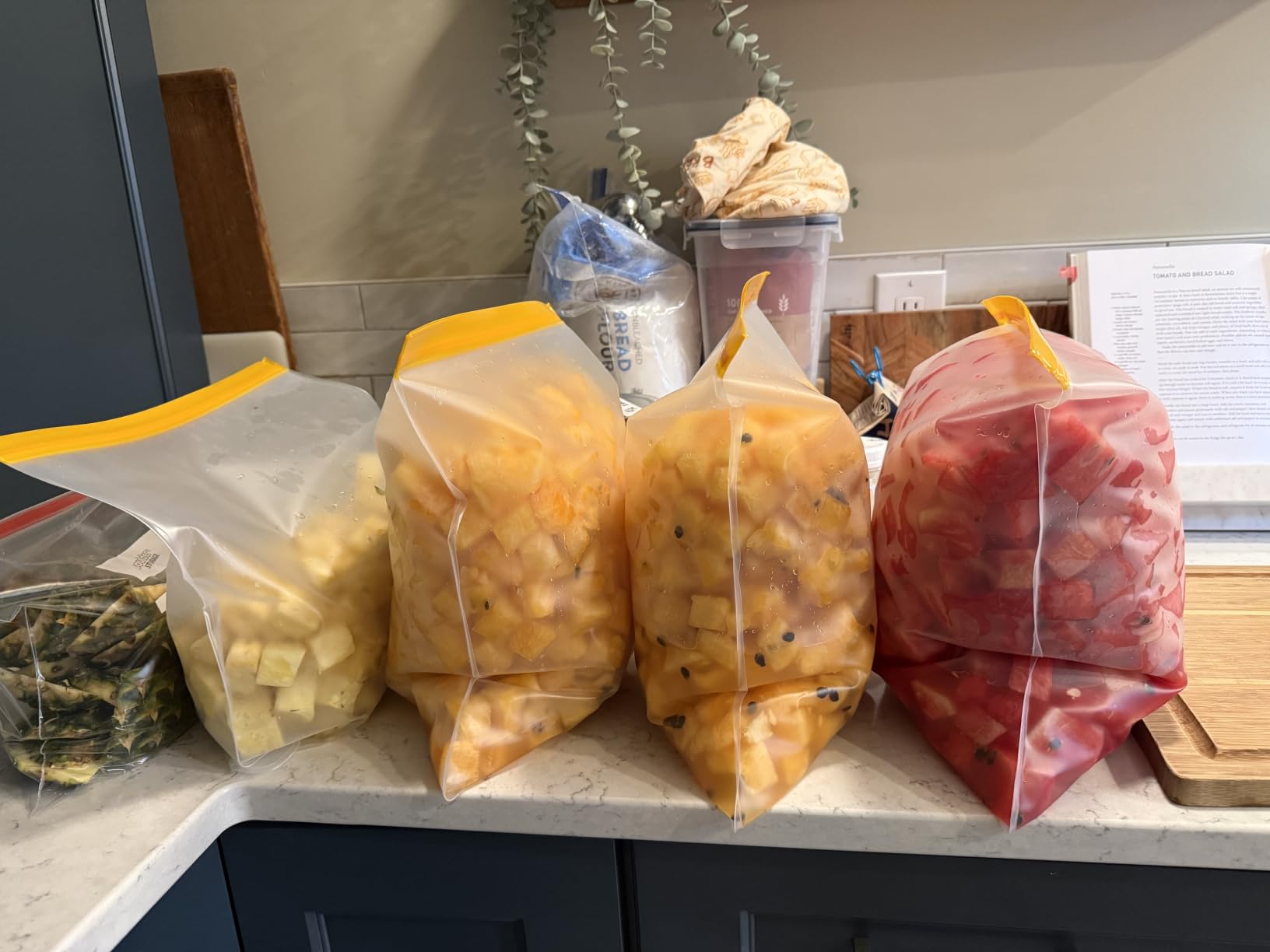 4 Pcs 2 Gallon Reusable Freezer Bags, Large Capacity, BPA Free Reusable Leakproof Food Storage Bags,13