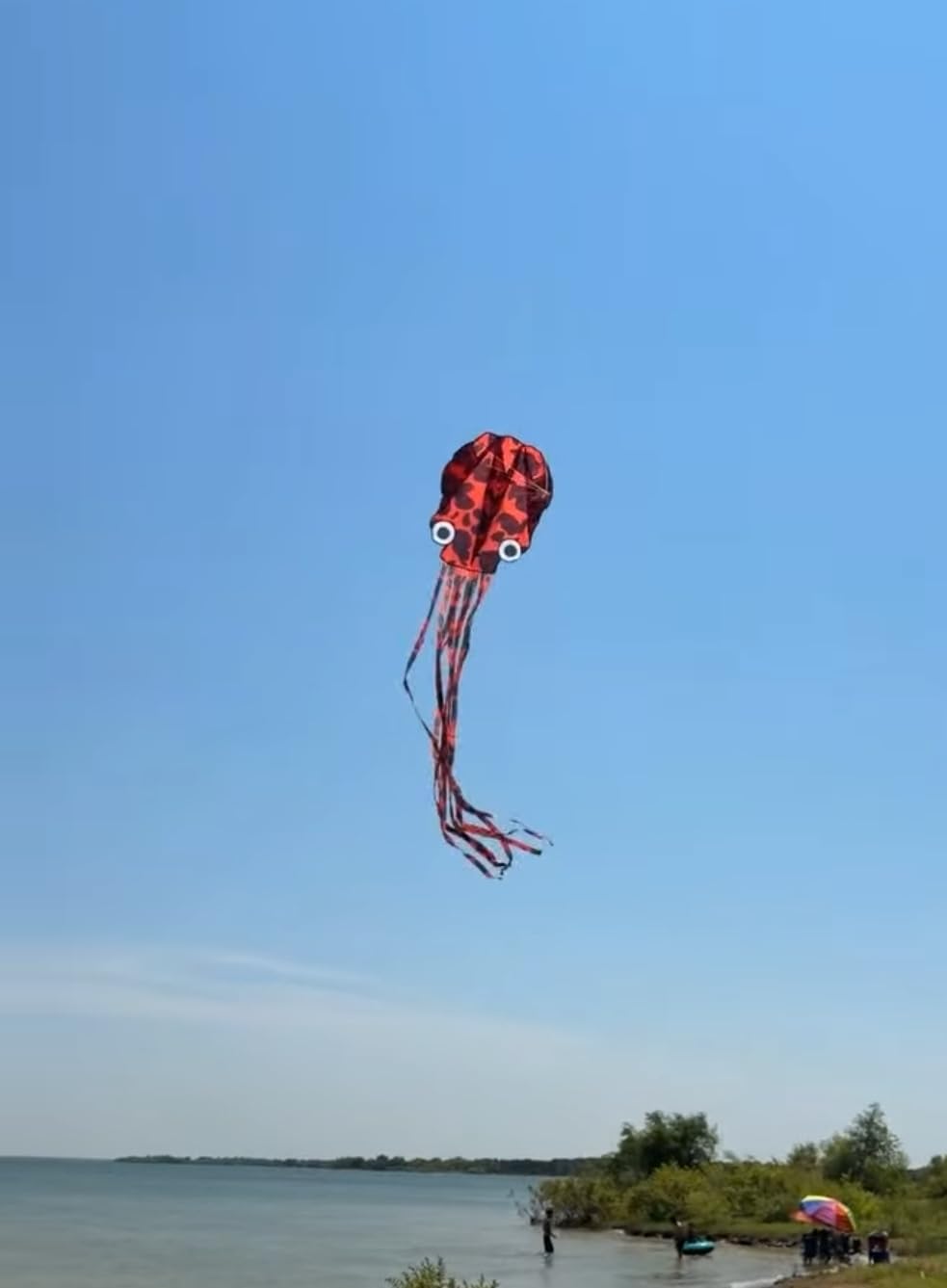 Octopus Kites for Kids & Adults Easy to Fly, 24”x 158” Large Soft Kite Kit for Boys and Girls, Single Line 3D Beach Kite Set for Teens,Perfect for Outdoor Activities customer photo 1