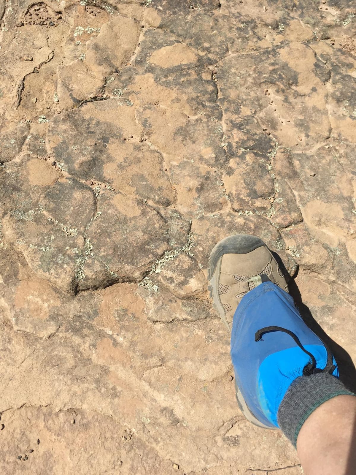 Kahtoola INSTAgaiter Low Gaiters for Hiking, Trail Running, Mountaineering, Hunting, Rocky Terrain, Mud, Snow & Ice customer photo 1