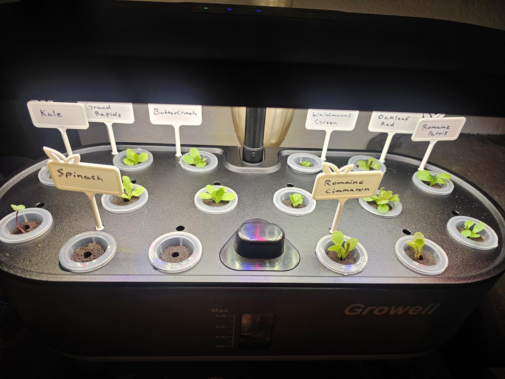 Growell Hydroponics Growing System Kit, 16 Pods Indoor Garden with 28W Full Spectrum LED Grow Light, Auto Timer, 3 Smart Light Modes, 8L Large Herb Garden, Ideal Gardening Gift for Women, Men (White) customer photo 2