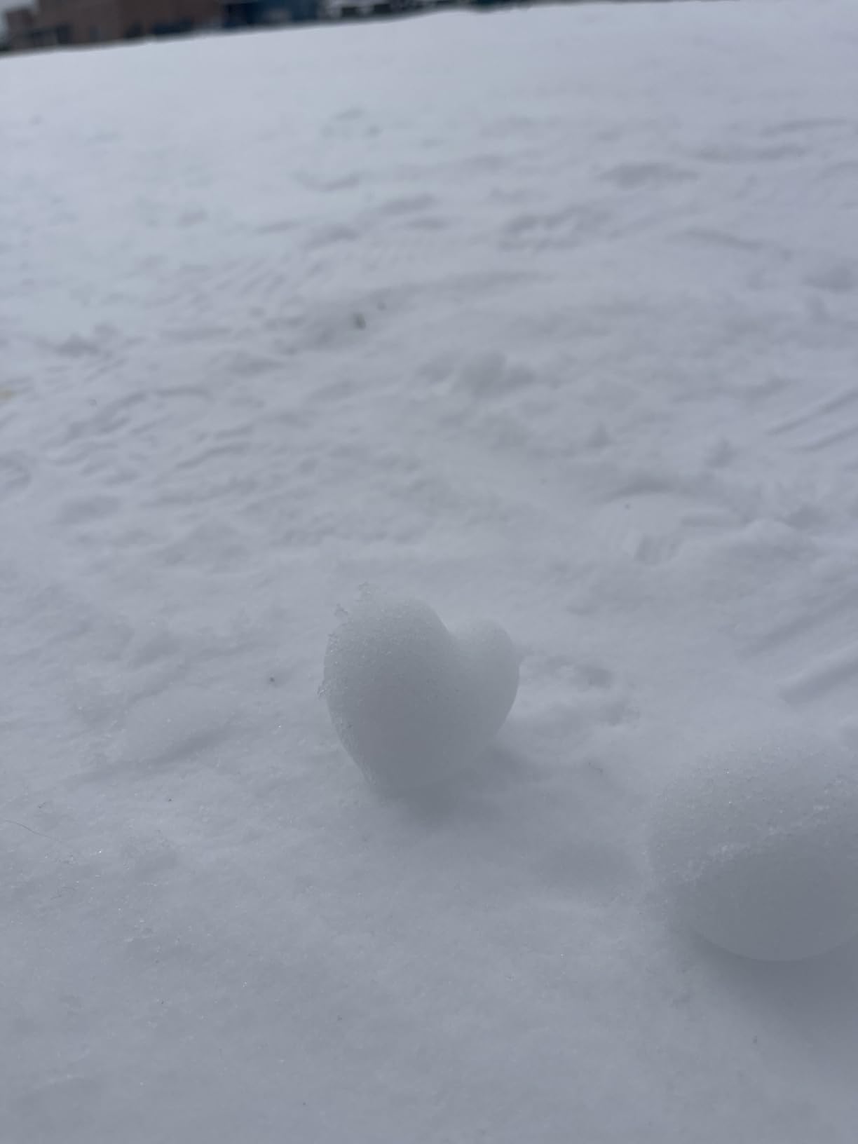 Snowball Maker, 4 Pack Snowball Mold for Kids, Snowball Mold Snow Toys, Outdoor Beach Toy Snowball Maker Toys with Handle, Birthday Xmas Gifts for Kids Ages 2-10 customer photo 2