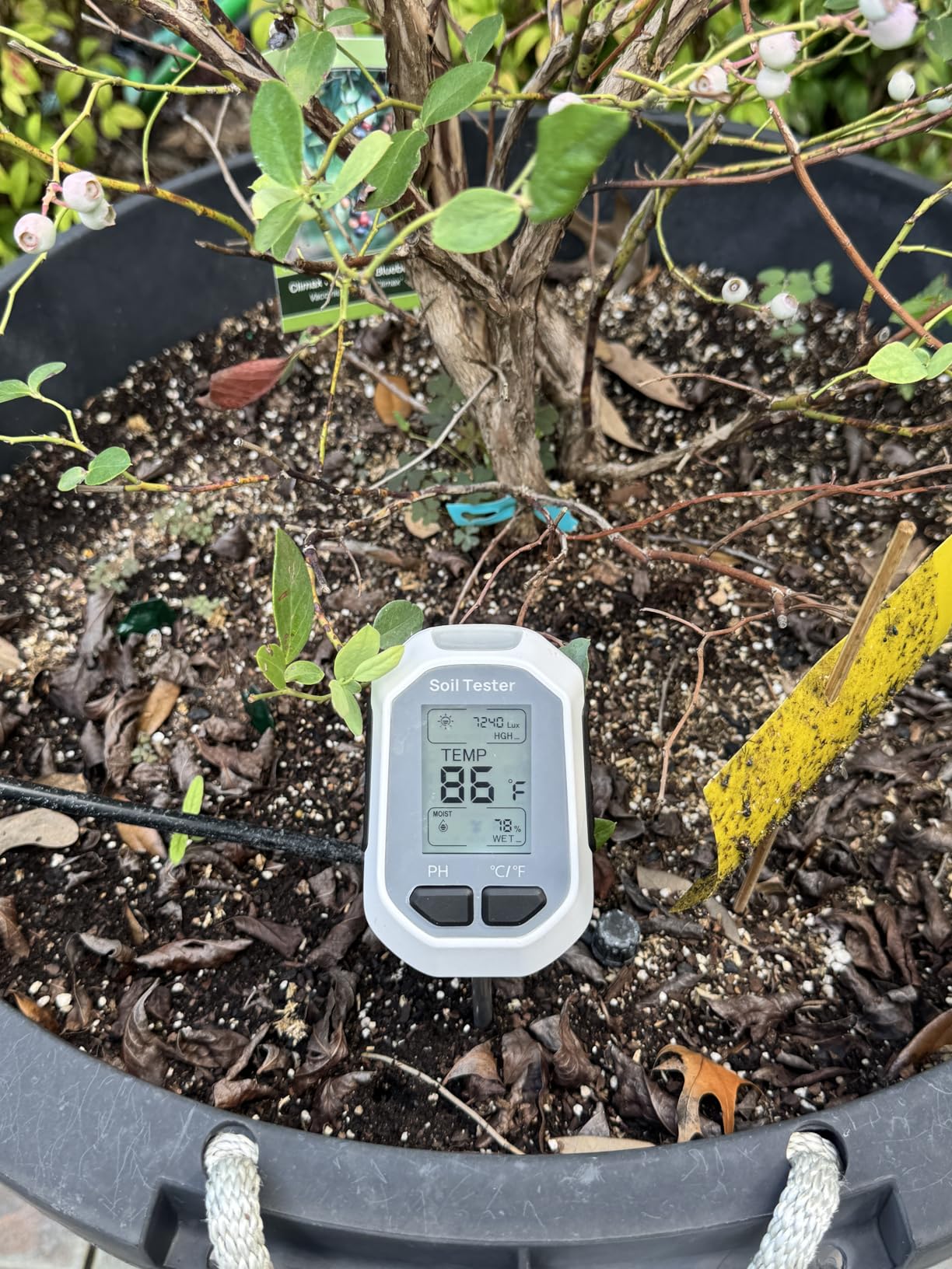 YAMRON 4-in-1 Soil Moisture Meter Digital Plant for Indoor & Outdoor Plants customer photo 1