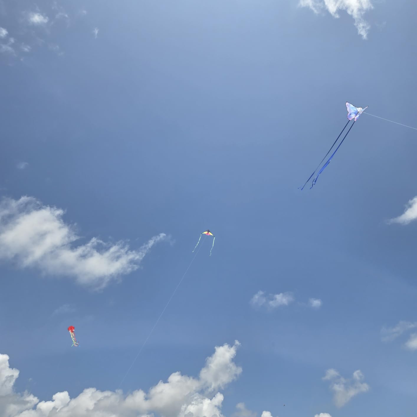 SGftre 3 Piece Set Butterfly Delta Octopus Kites for Kids and Adults,Easy to Fly for Outdoor Adults Children Line Kite for Kids Toy (Gradient Grassland Rainbow+Octopus Red+Blue Dreamy Butterfly, 3) customer photo 1