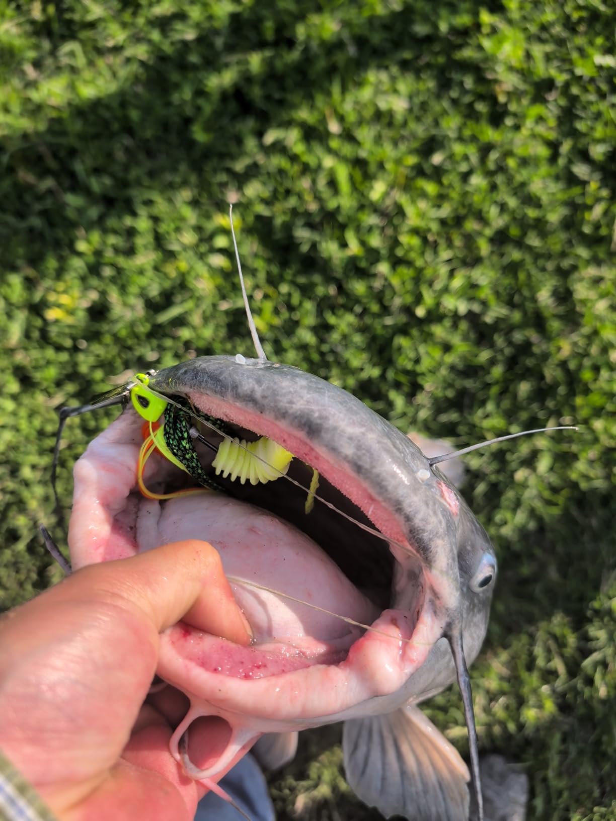 Queen Tackle Switch Tungsten Blades for Lures, 3 Pack or 25 Pack Bulk, Tungstens Chatter Bait, Vibrating & Bladed Swim Jigs, Three Colors As Well as Two Sizes customer photo 1