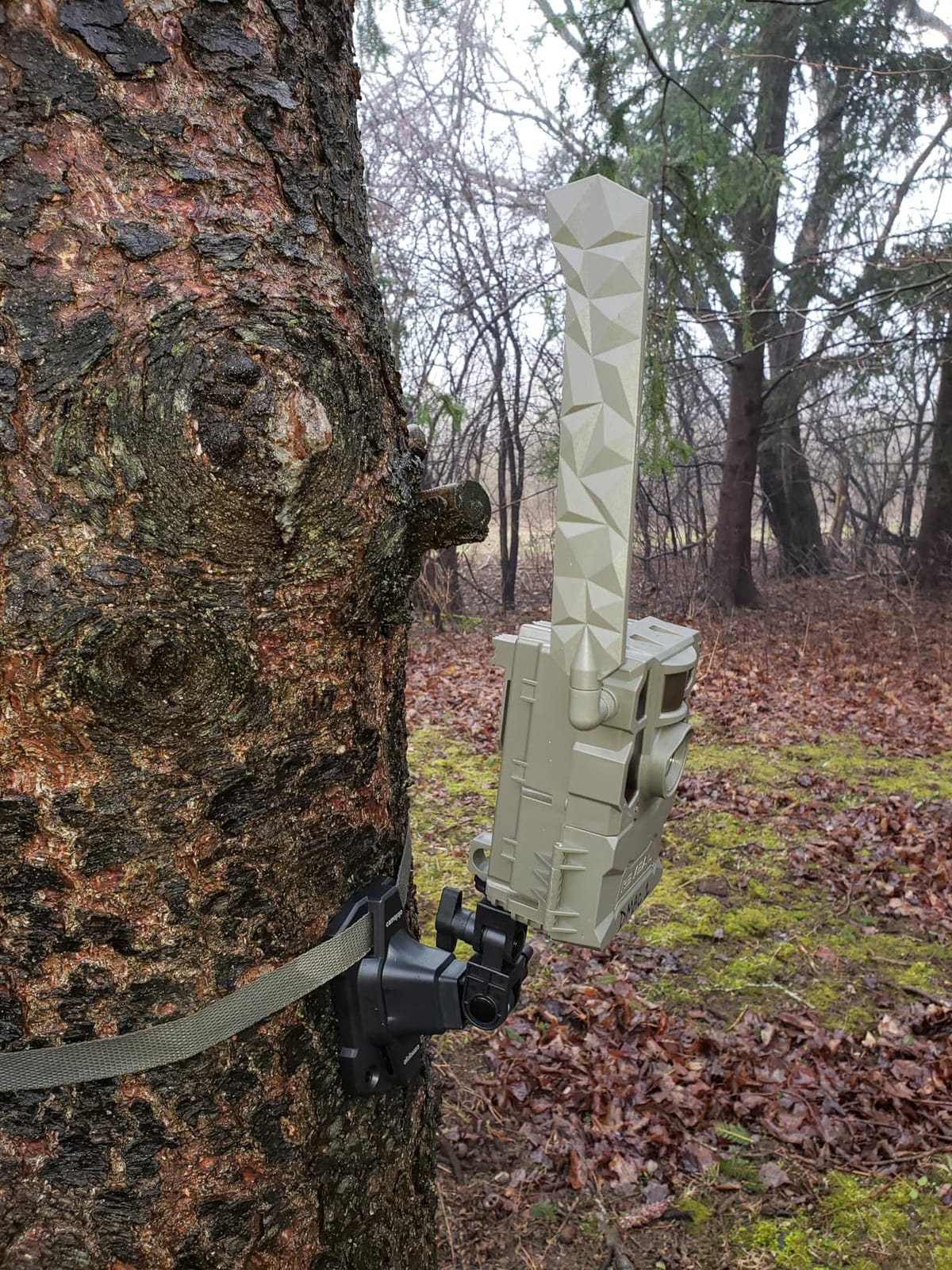 Camojojo Trail Cameras Mounting Bracket with 1/4