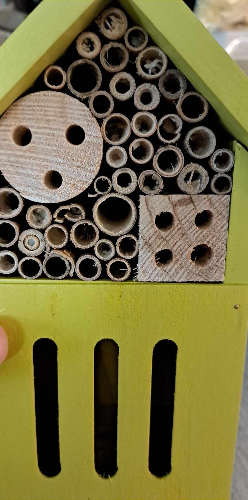 Bee House Bug Hotel & Butterfly House, Handcrafted Wooden Ladybug House, Natural Insect Habitat for Garden, Patio, or Yard, Durable Pine Wood, Attracts Pollinators, 10.4 x 5.5 x 3.2 Inches customer photo 2