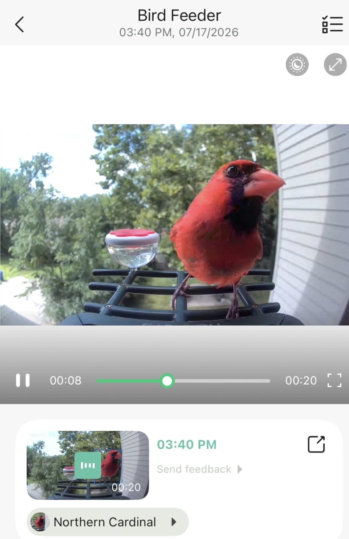 Smart Bird Feeder with Camera Solar Powered, 2K HD Video, AI Bird Species Identification, Instant Arrival Alerts, Weatherproof Design for Effortless Birdwatching, Best Gift for BirdLovers, Red customer photo 2