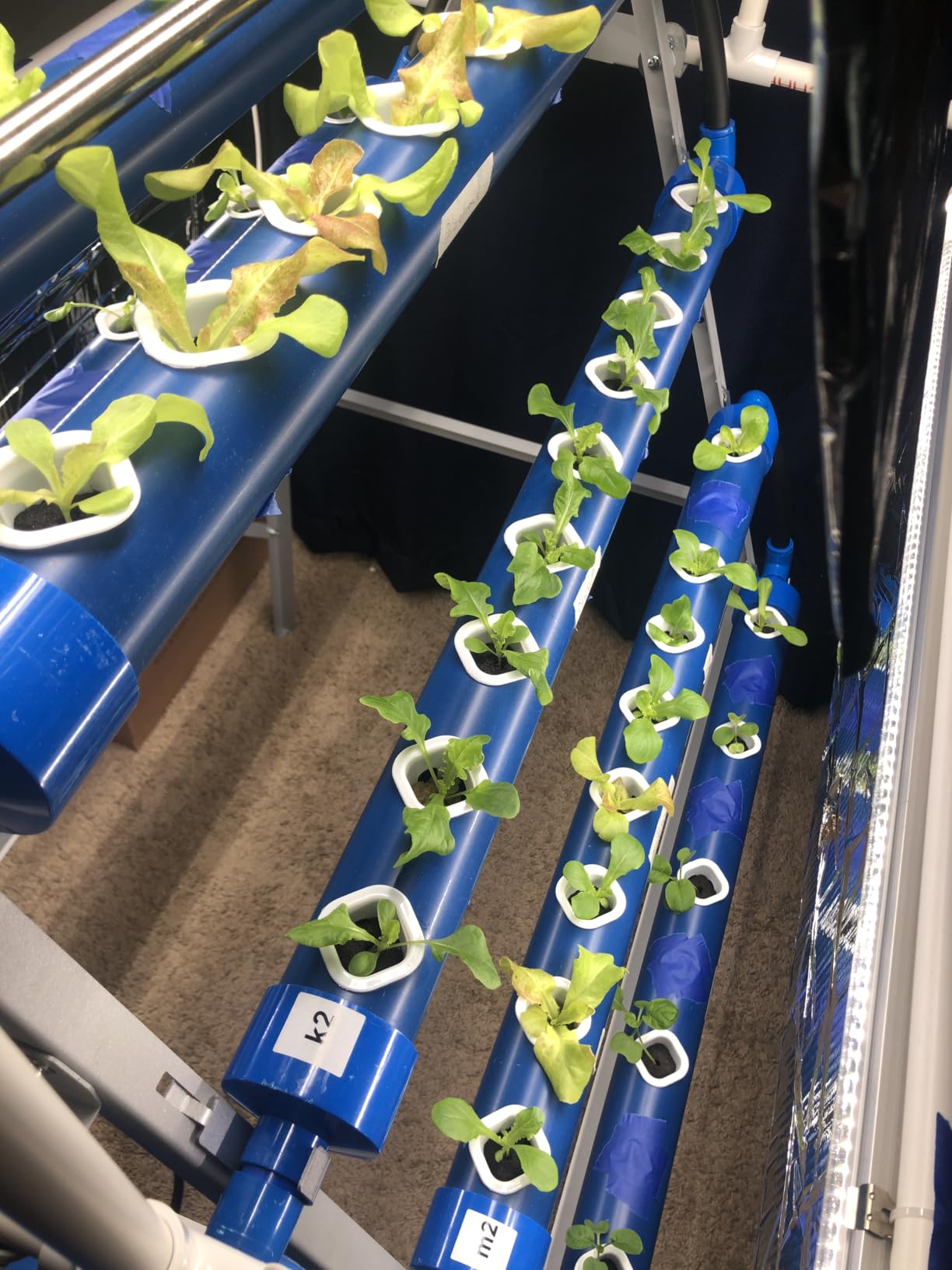 A-Type 72 Plant Sites Hydroponics Growing System Kit with Light Blocking customer photo 1