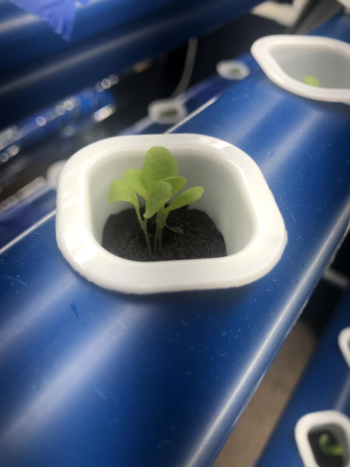 A-Type 72 Plant Sites Hydroponics Growing System Kit with Light Blocking customer photo 2