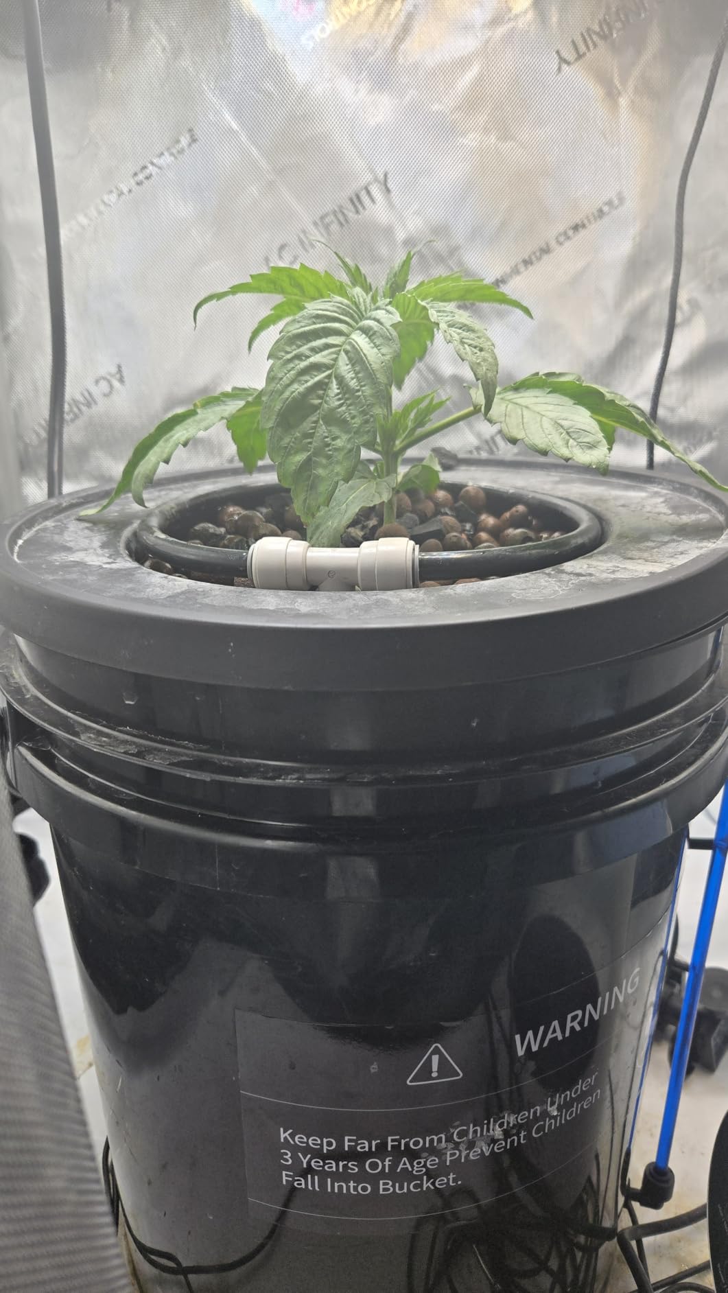 MARS HYDRO DWC 4‑Bucket Hydroponic System with Pump & Drip customer photo 2