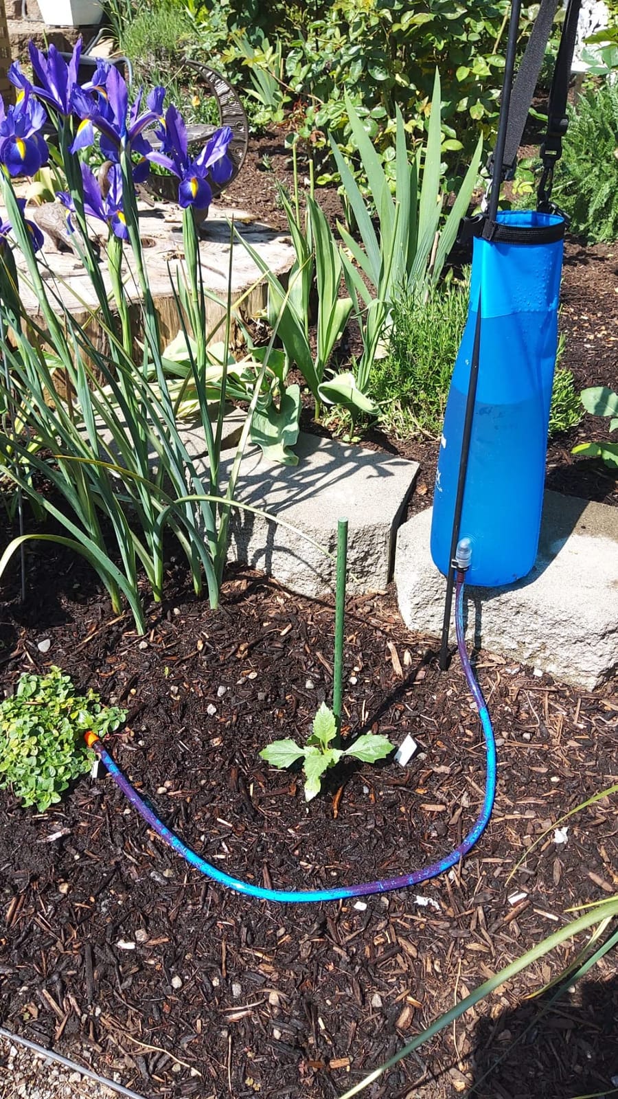 3L Gravity-Fed Water Bag for Sawyer Water Filtration System, Foldable, BPA-Free customer photo 2