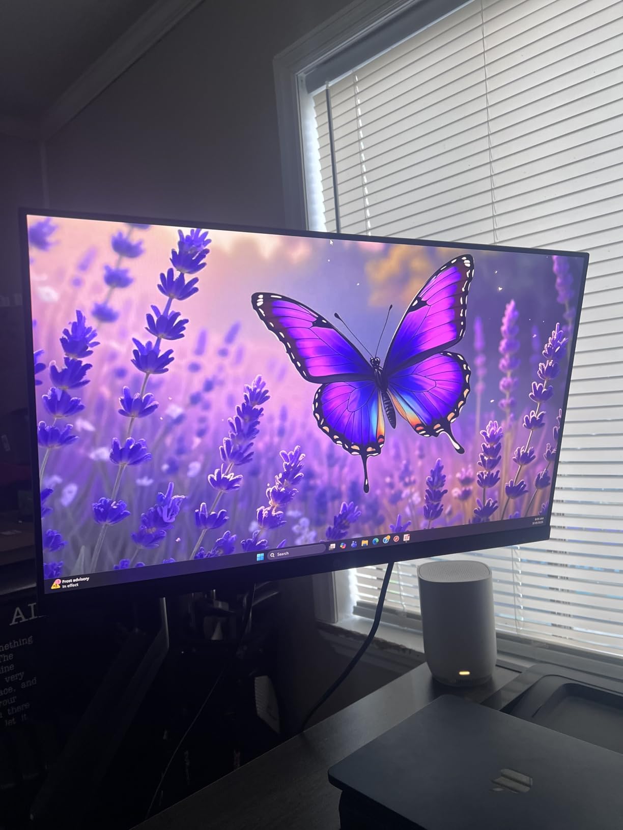 HP Series 3 27 inch FHD Monitor, Full HD Display (1920 x 1080), IPS Panel, 1300:1 Contrast Ratio, 250 Nits, Eye Ease with Eyesafe Certification, Black, 327se (2025) customer photo 1