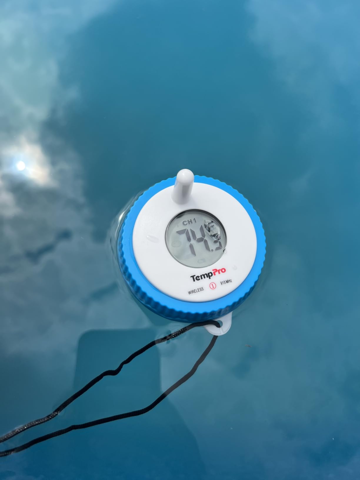 TempPro TempAir Wireless Pool Thermometer Floating Easy Read with Batteries customer photo 1