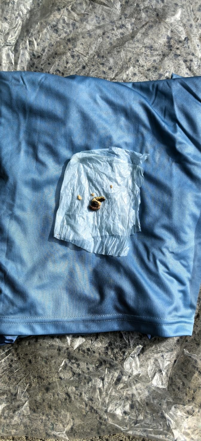 Permethrin Long Lasting Insect Repellent Hoodie, No Spray | UPF 50+, no reapplying, lasts 50 washes. For men, women & family. EPA registered, repels ticks, mosquitoes, chiggers, ants. customer photo 1