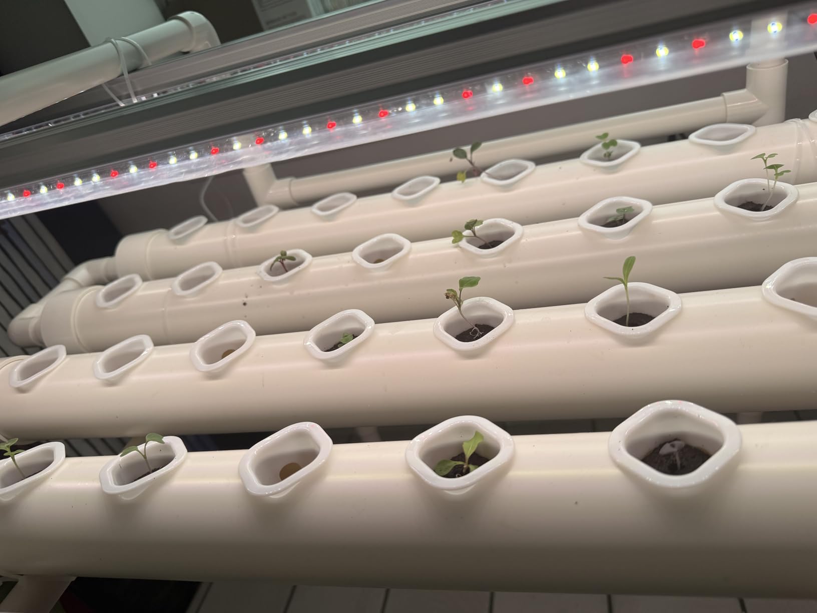 NFT Hydroponic Growing System Kit - Full-Spectrum Grow Lights & Timer | 36 Plant Sites | Food-Grade PVC-U Pipes | Auto Water Pump & Timer | Indoor Gardening for Leafy Greens, Lettuce & Herbs customer photo 2