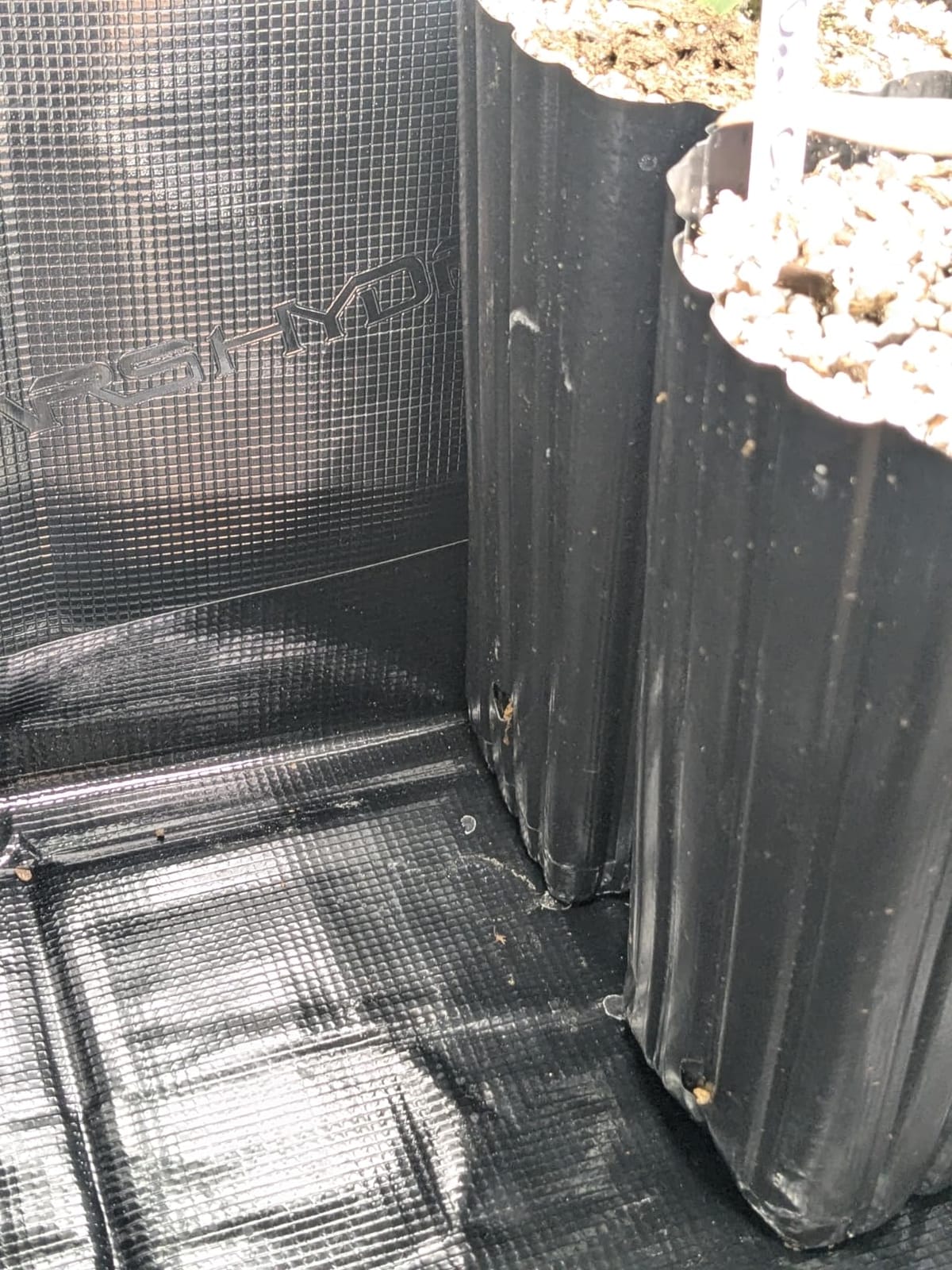 MARS HYDRO Indoor Greenhouse with Grow Light customer photo 1