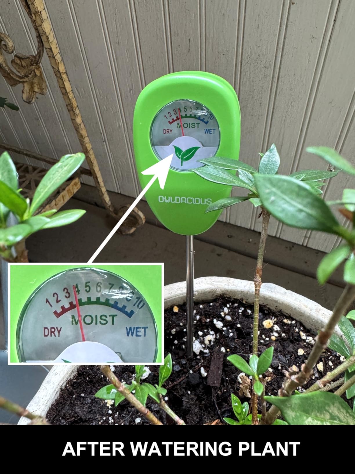 Indoor Plant Care Kit - Soil Moisture Meter, 200+ Houseplant Watering Guidebook & pH Test Strips (25 Counts) - Plant Mom Gifts, Starter Tool Set for Monstera, Succulent & Fiddle Leaf Fig customer photo 2