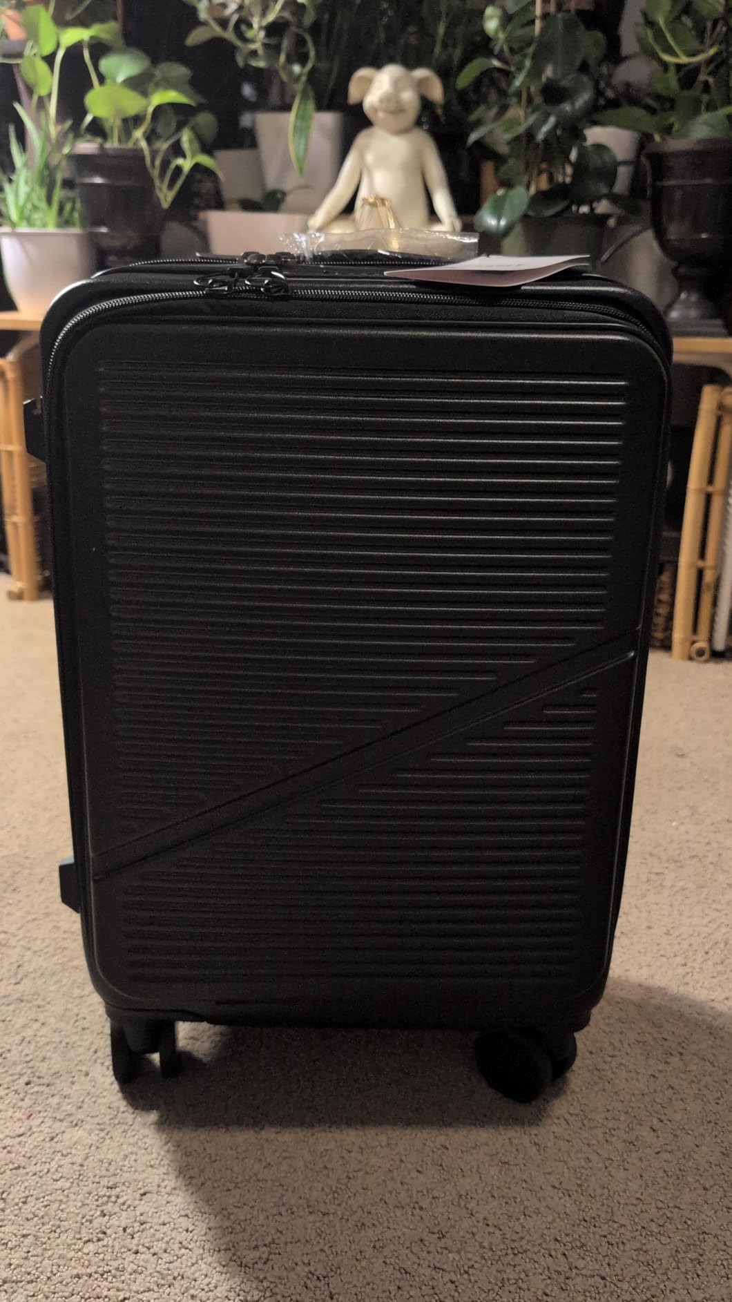 Carry On Luggage 22x14x9 Airline Approved, Hard Shell Spinner Suitcase with Front Laptop Pocket, USB Charging Port & TSA Lock, 20 Inch Rolling Luggage with Cosmetic Case customer photo 2