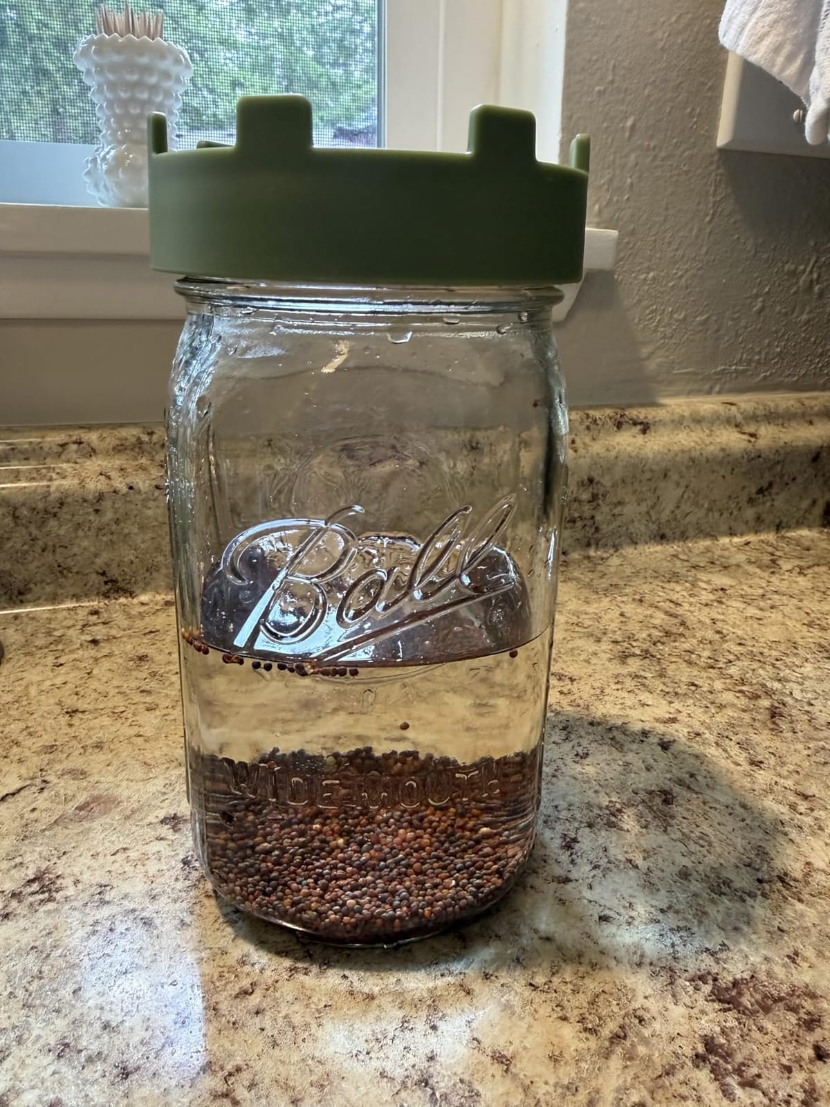 Elementi Sprouting Jar Kit - Set of 2 Wide Mouth Mason Jars with Sprout Lids & Stainless Steel Mesh Screen - Seed Sprouting Kit & Sprout Jars for Growing Broccoli Sprouts, Alfalfa, Mung Bean Sprouter customer photo 2