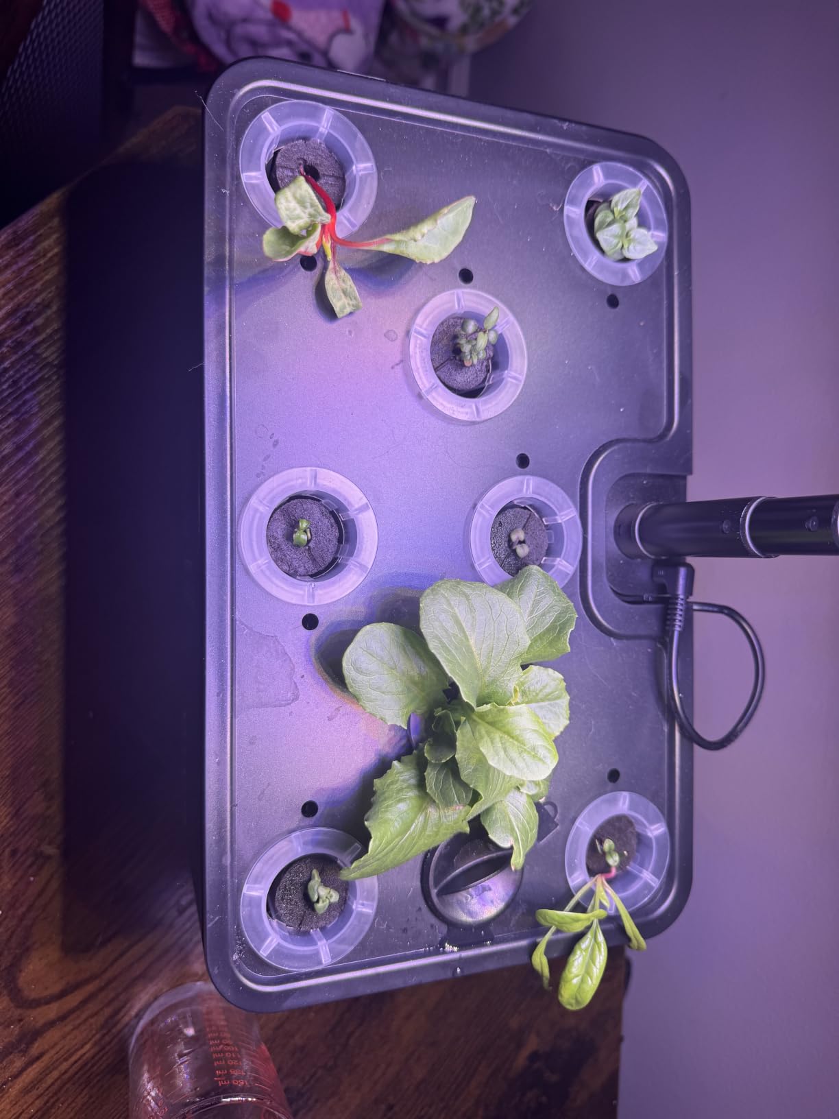 URUQ 8 Pods Hydroponics Growing System with LED Grow Light - Black customer photo 2