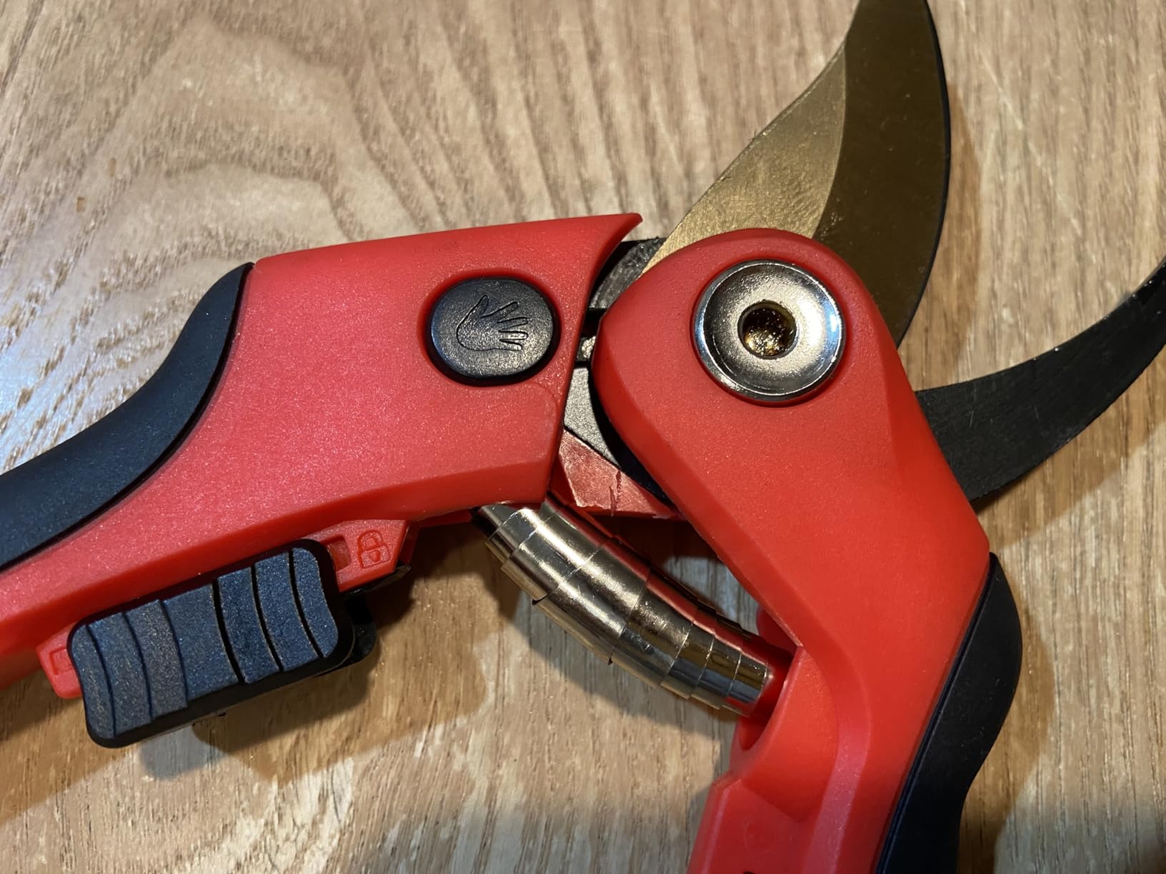 FLORA GUARD Heavy Duty Ratchet Pruning Shears, SK5 Steel Garden Clippers customer photo 1
