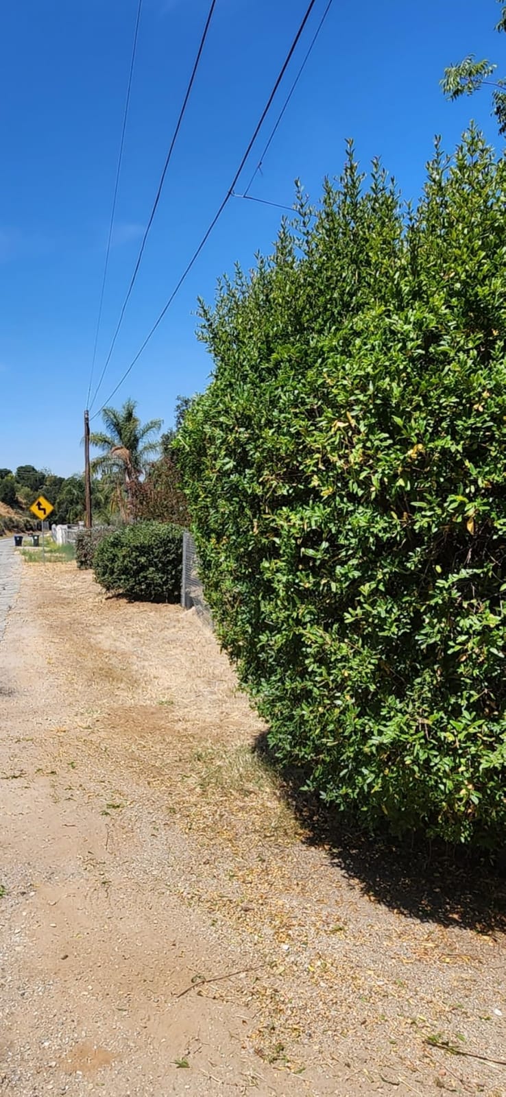 24'' Cordless Hedge Trimmer with 2 Batteries & Charger, Brushless Motor customer photo 1
