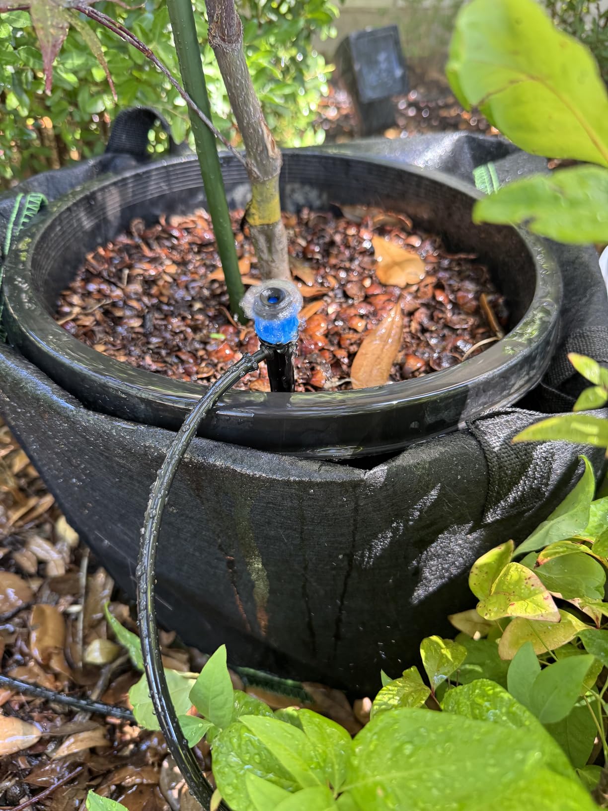 Drip Irrigation System 230FT Quick-Connect Drip Irrigation Kit with 1/4 inch 1/2 inch Irrigation Tubing Hose and Accessories for Lawn Raised Bed Greenhouse Plant Watering System customer photo 2